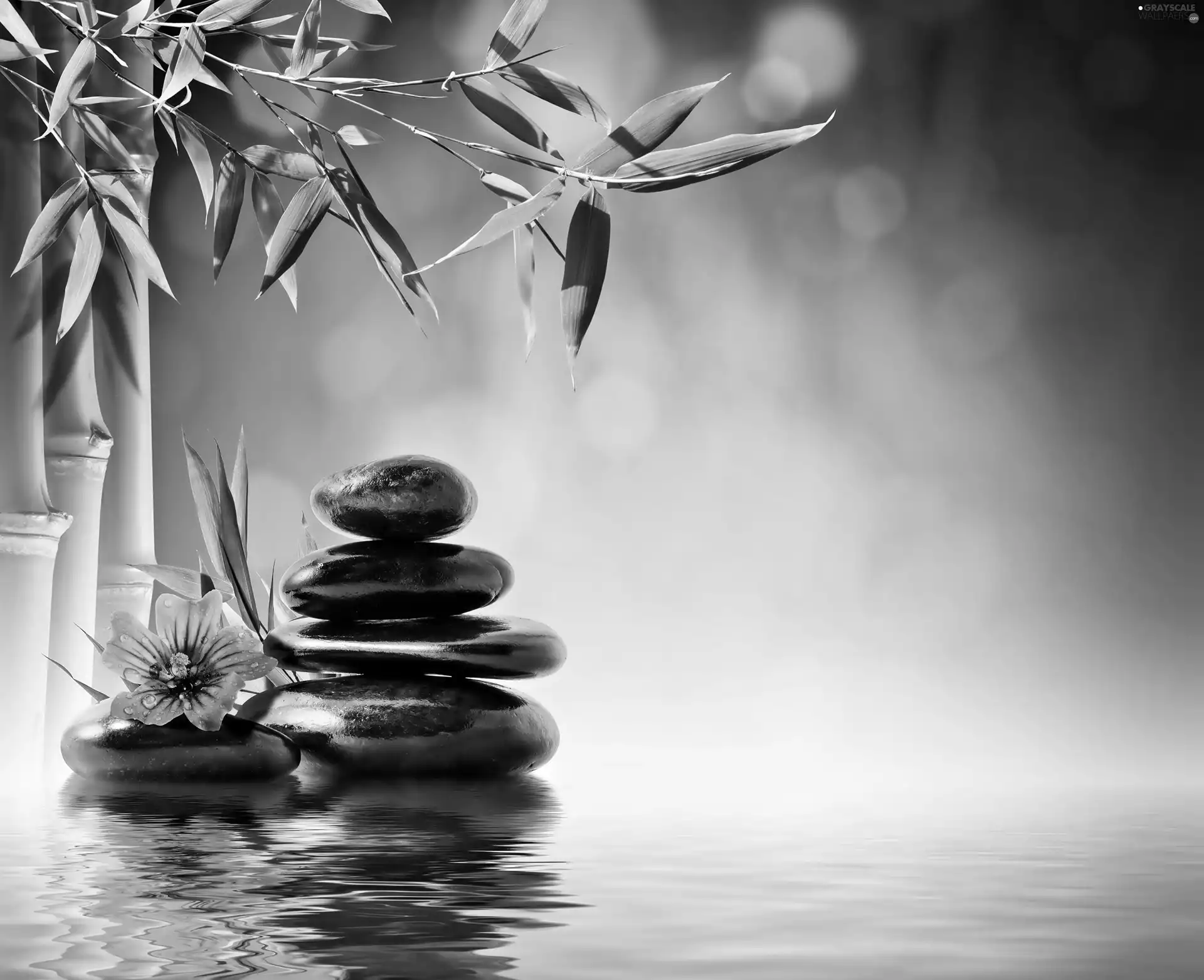 Spa, Stones, water, bamboo