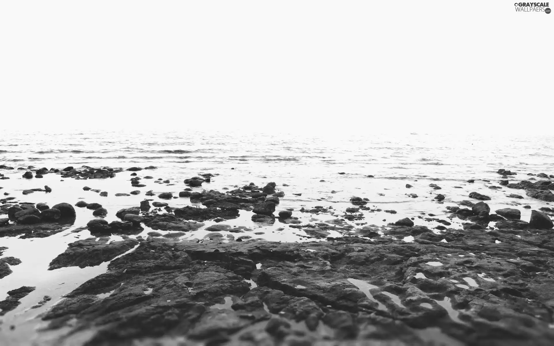 water, Beaches, Stones