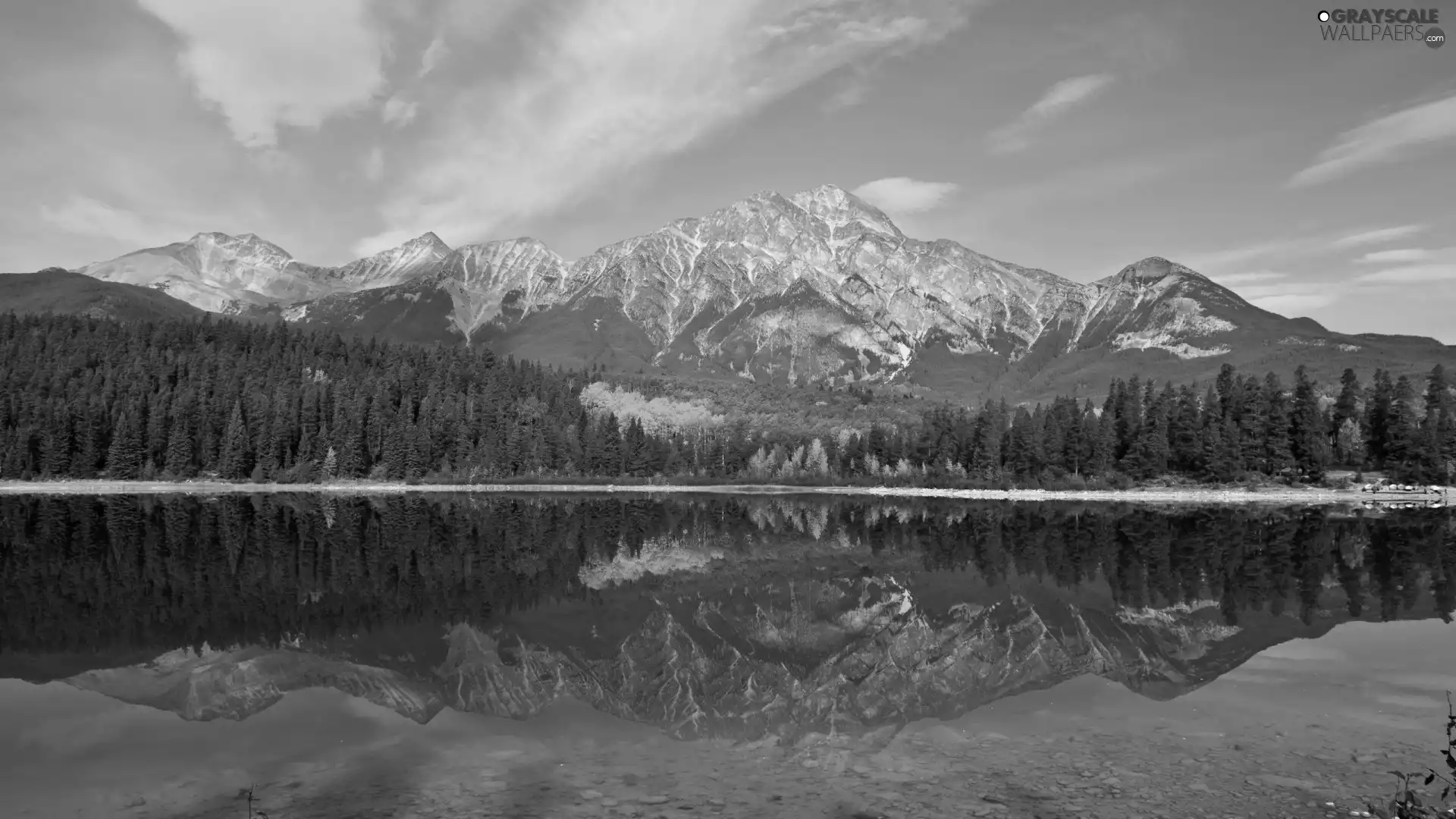 trees, Mountains, water, viewes