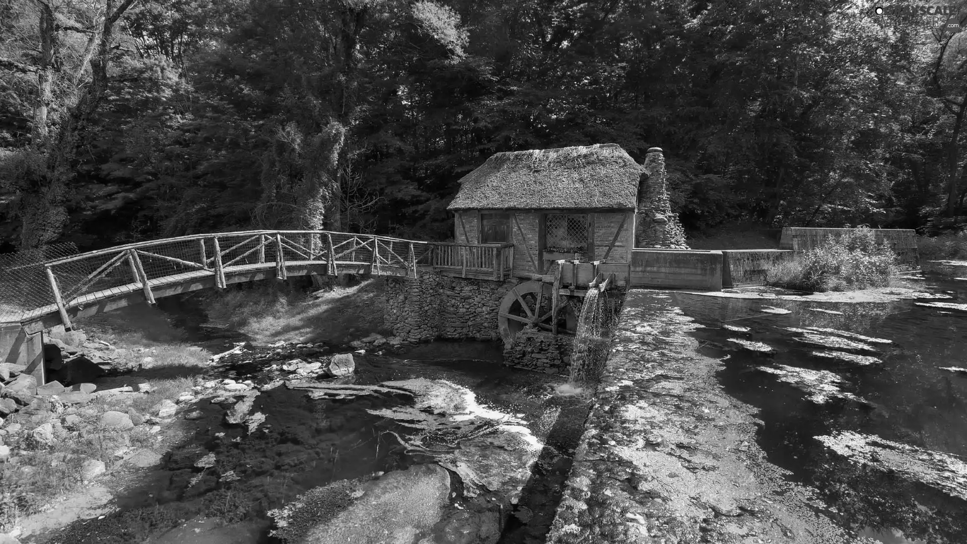 House, Windmill, trees, water, River, bridges, viewes