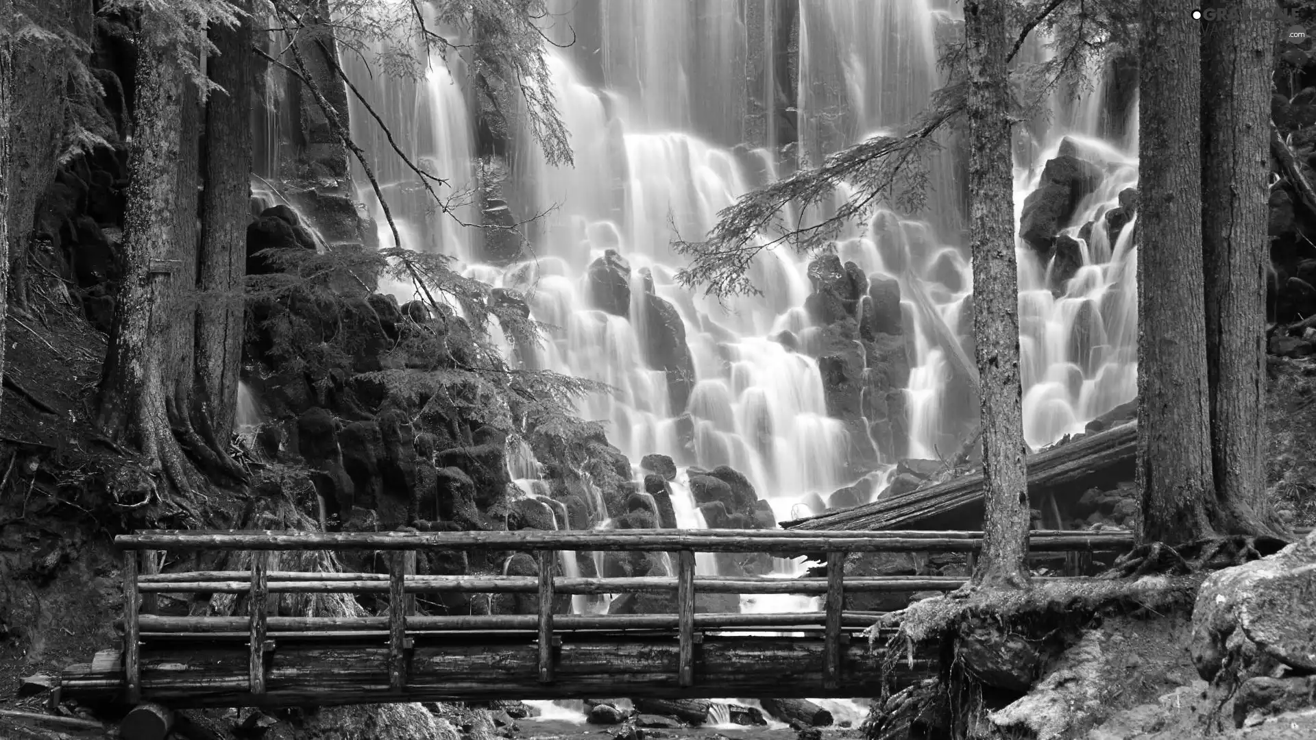 waterfall, forest, bridges