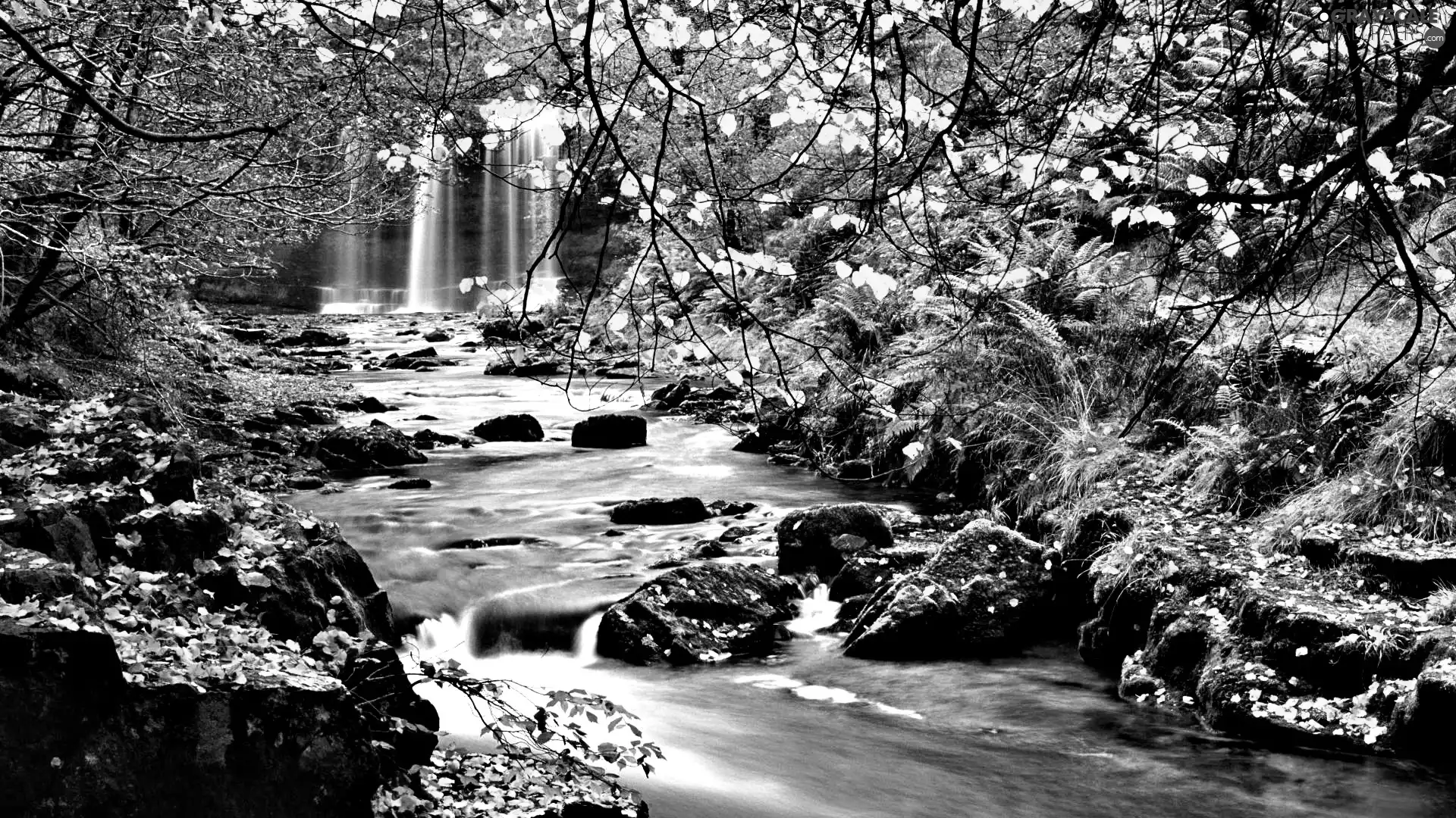 waterfall, forest, brook