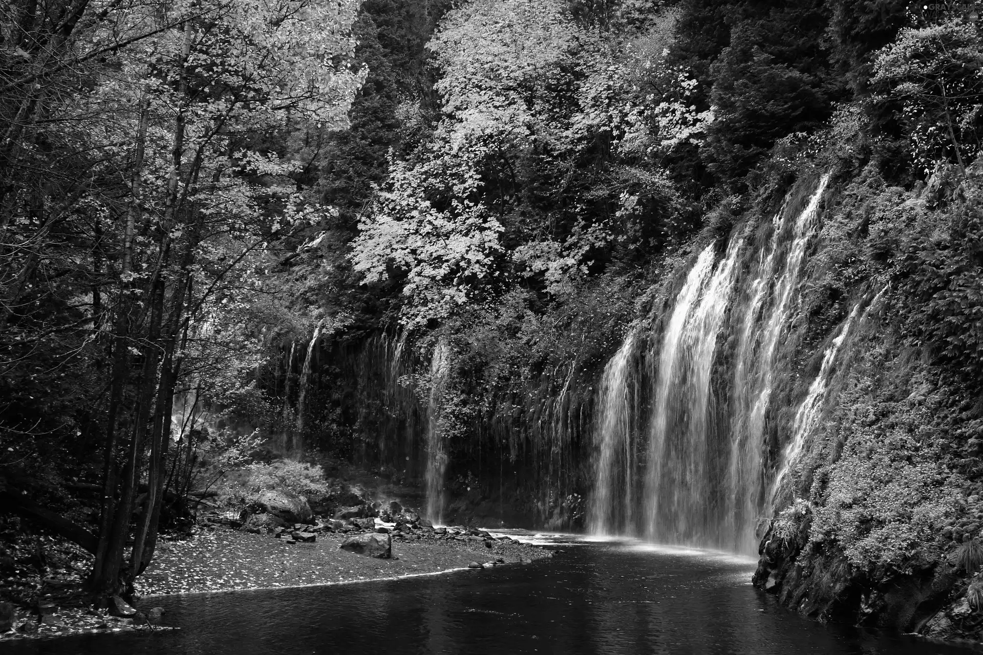 Mossbrae Falls California, forest, waterfall