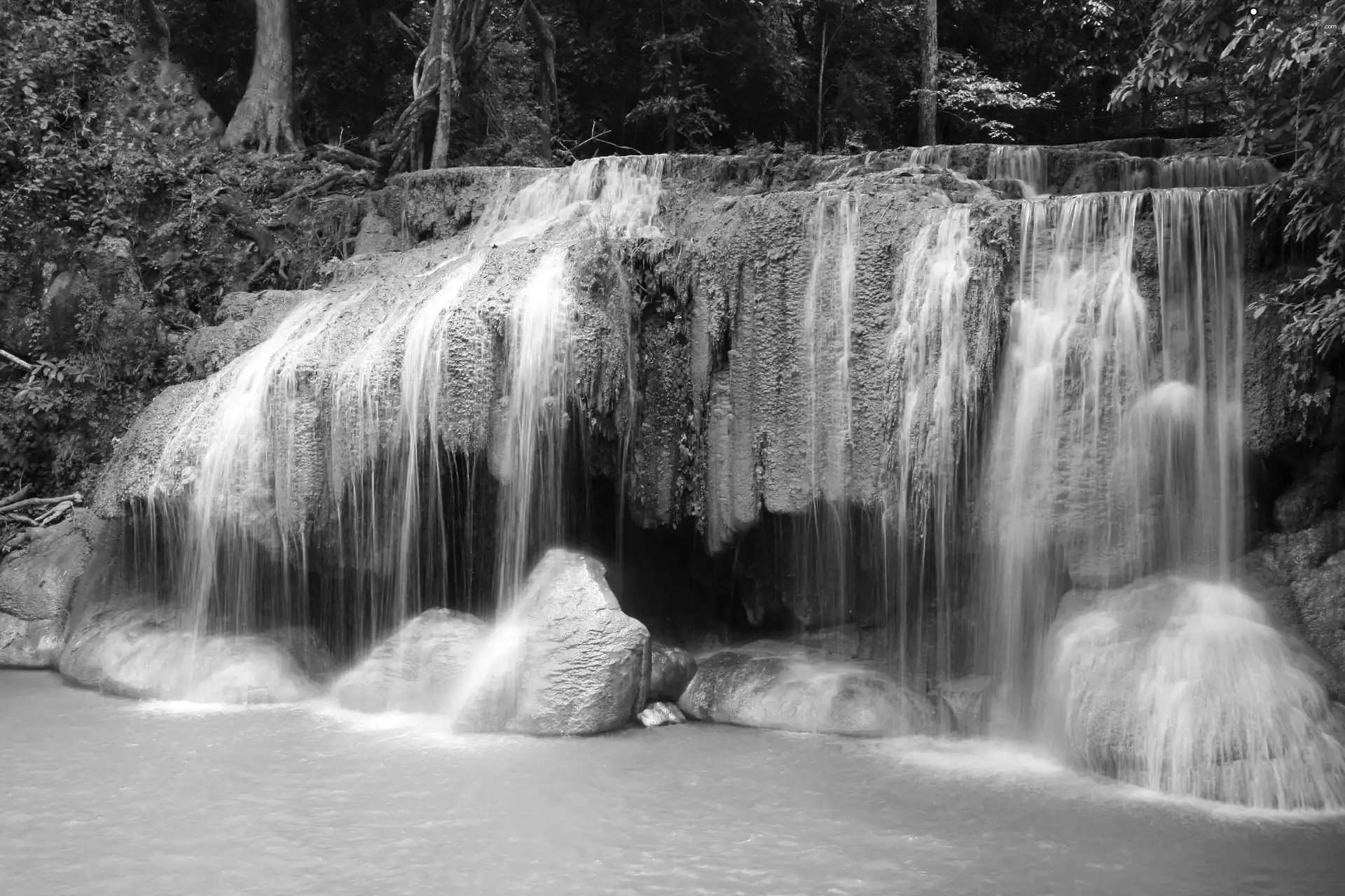 forest, waterfall