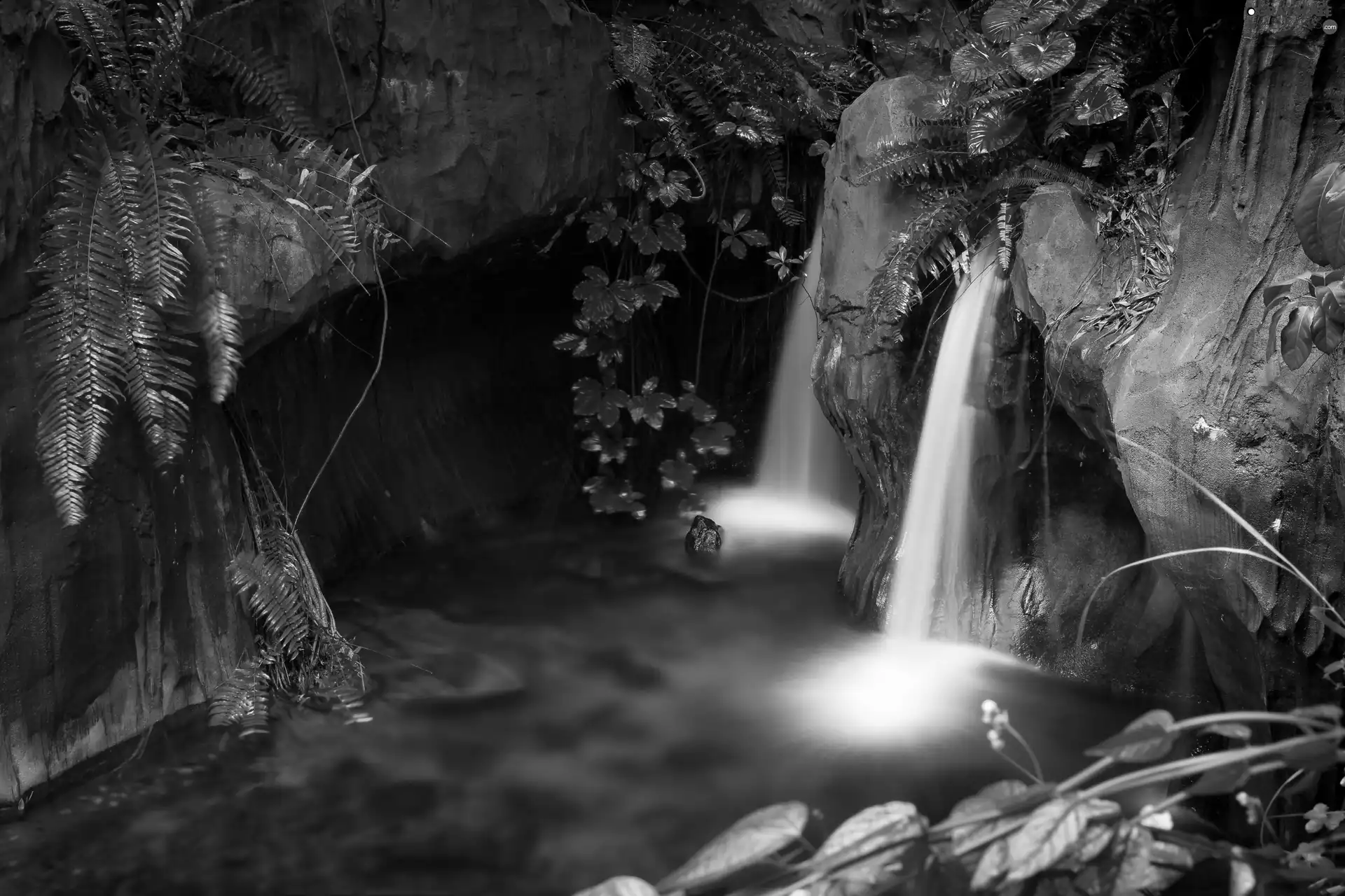 waterfall, rocks, Plants