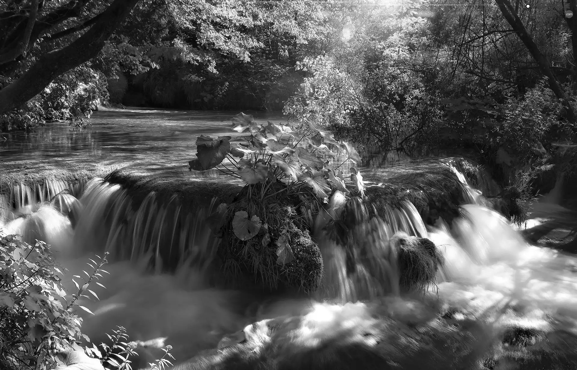 National Park Plitvice, River, waterfall, Coartia