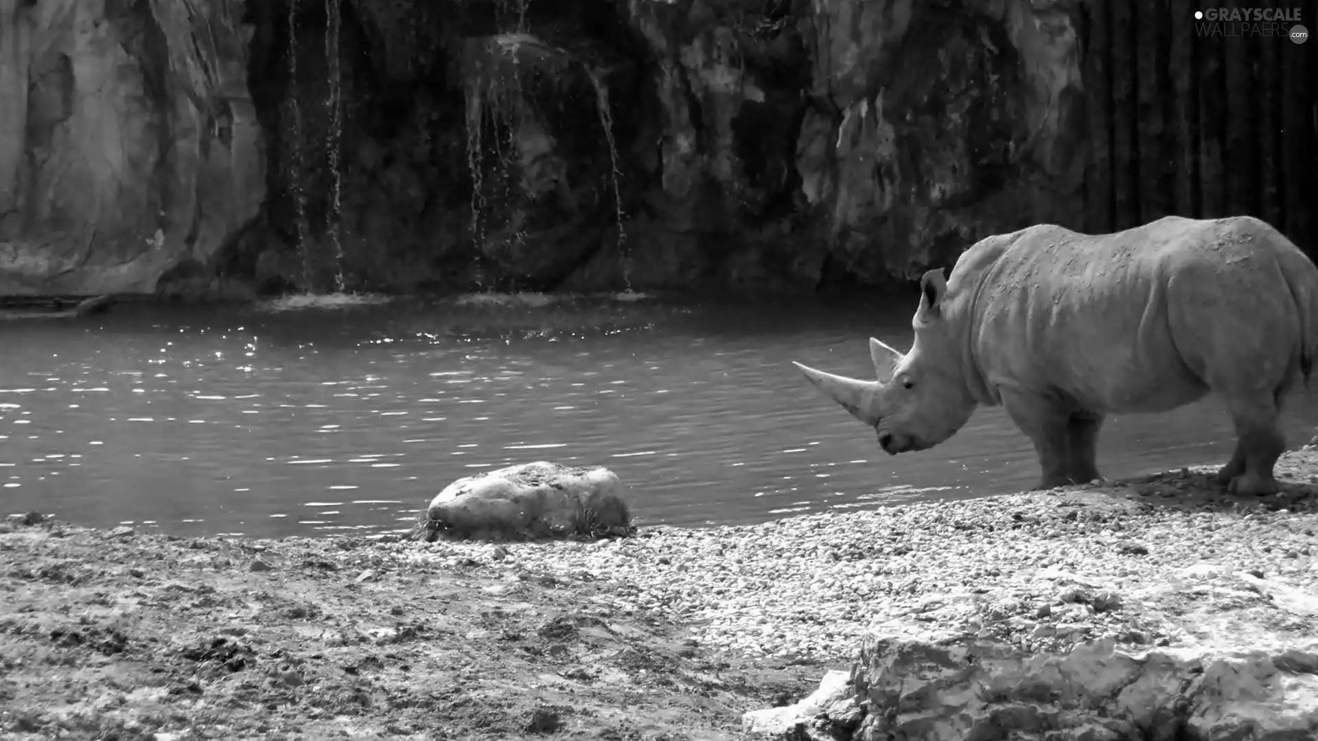 waterfall, Rhino, Sand, rocks, River