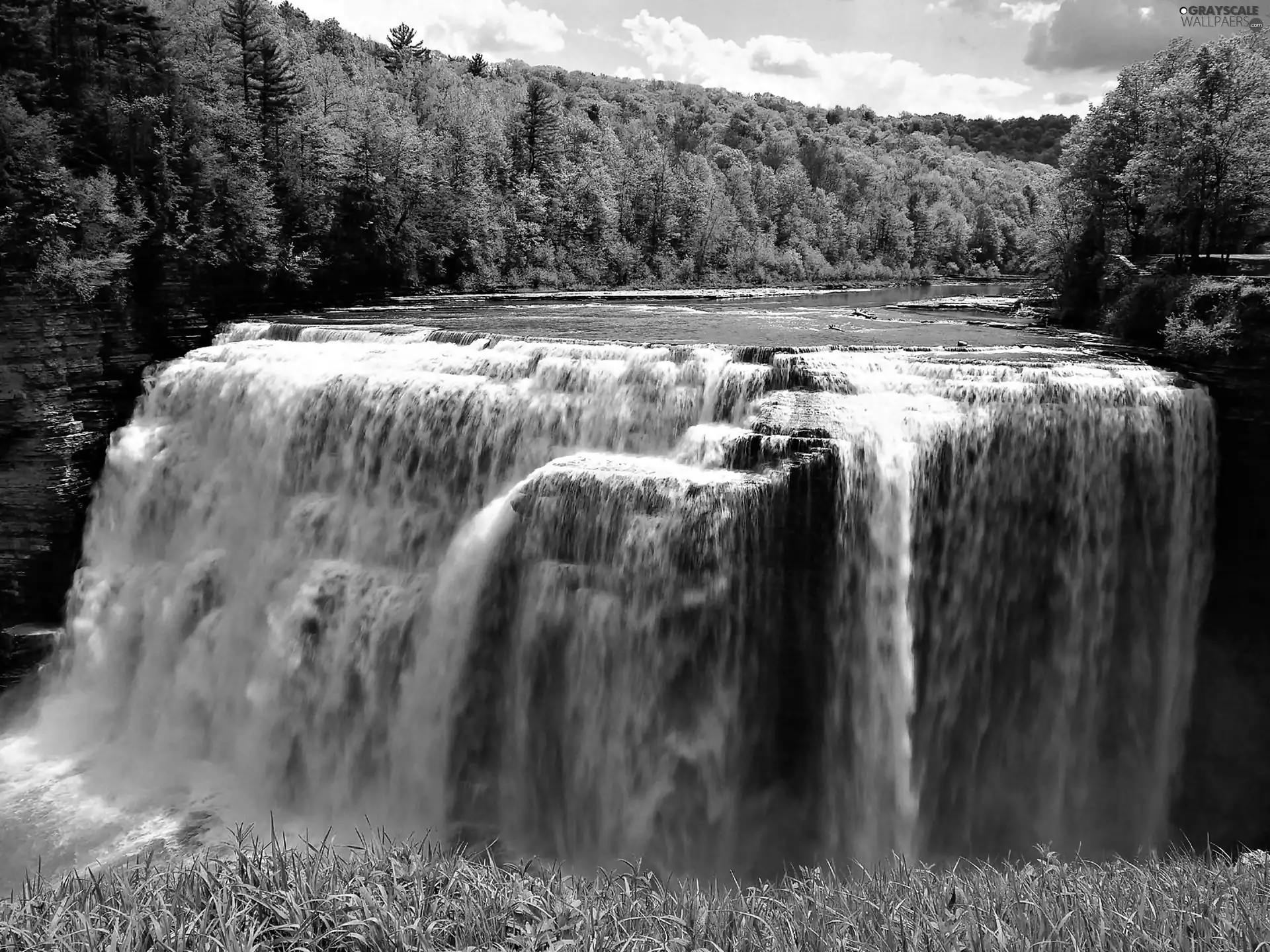waterfall, forest, River