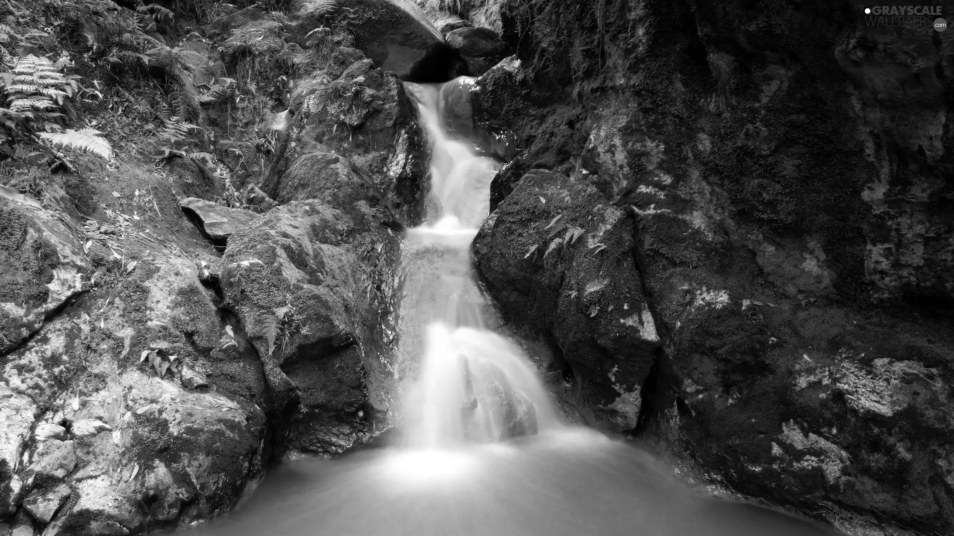 rocks, fern, waterfall, mosses