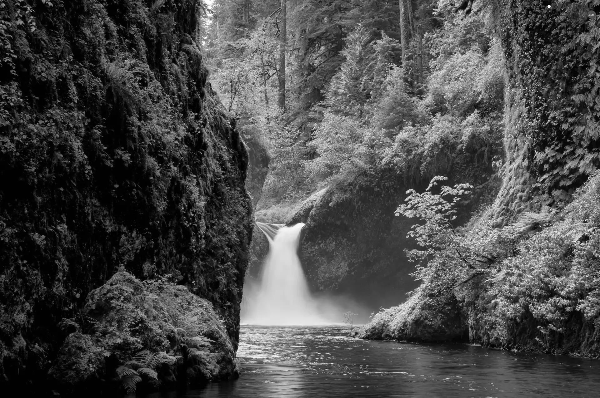 waterfall, forest, rocks
