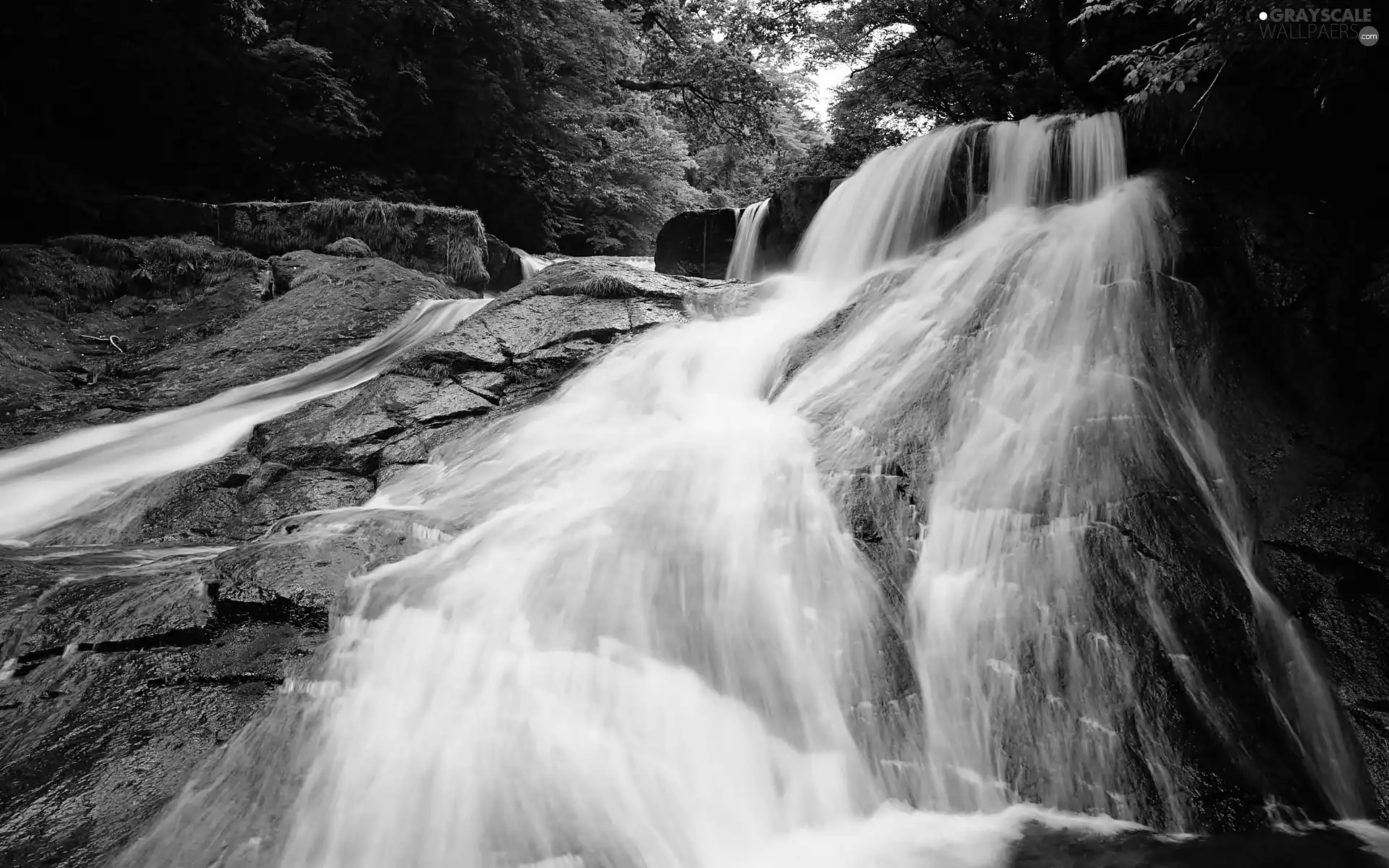 waterfall, forest, rocks