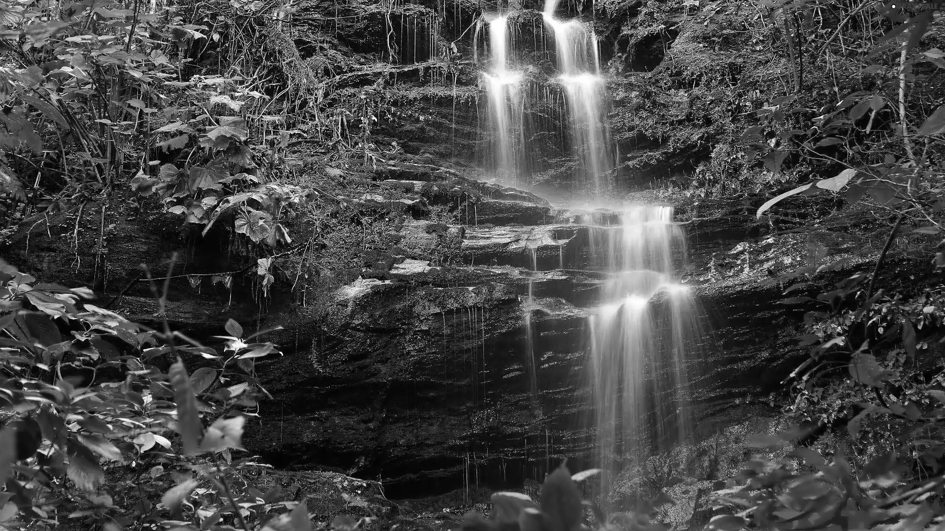 waterfall, forest, rocks