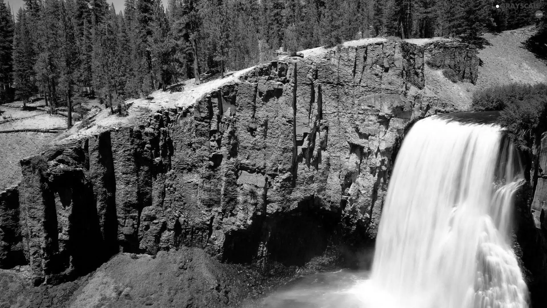 trees, Rocks, waterfall, viewes