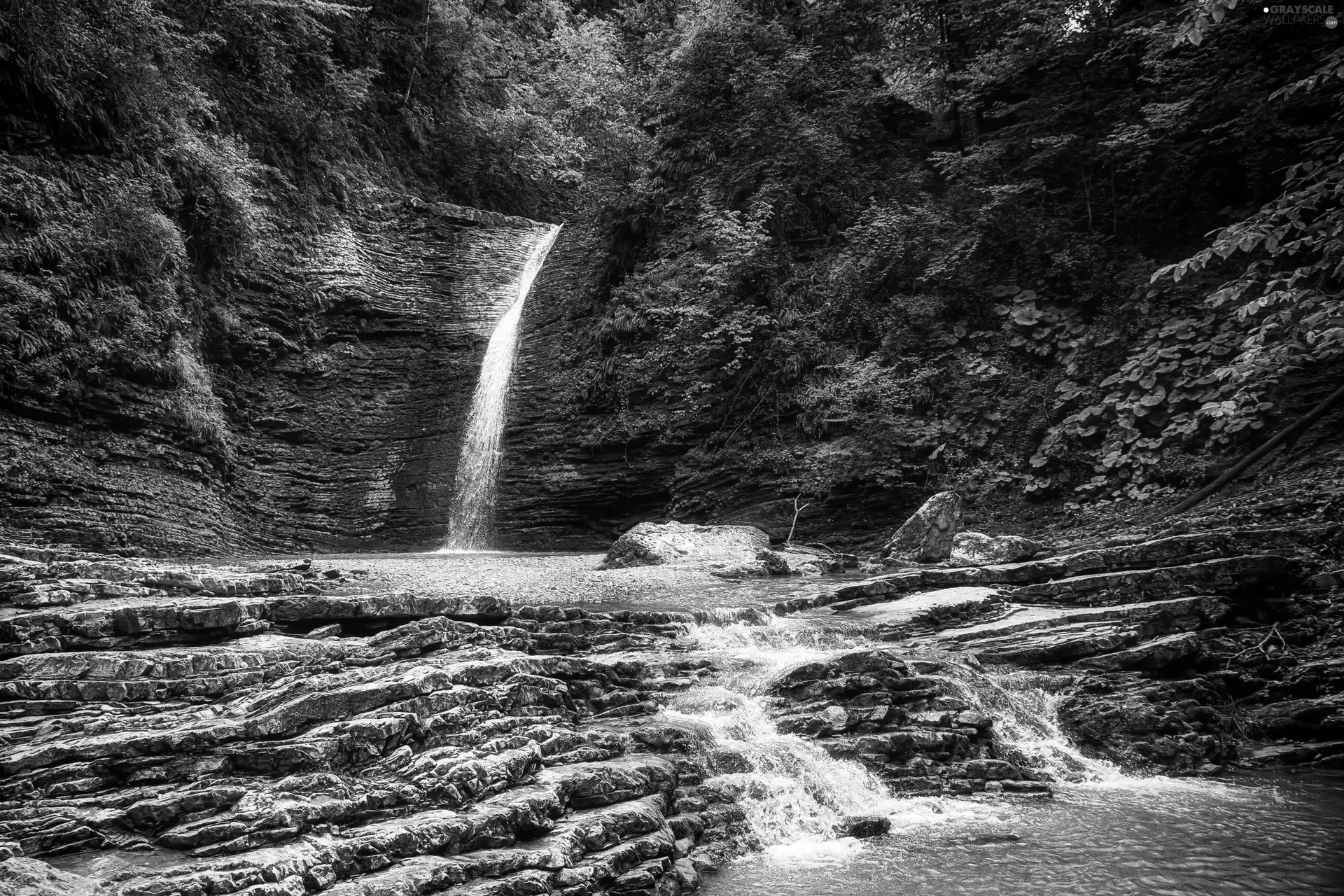 trees, rocks, waterfall, viewes