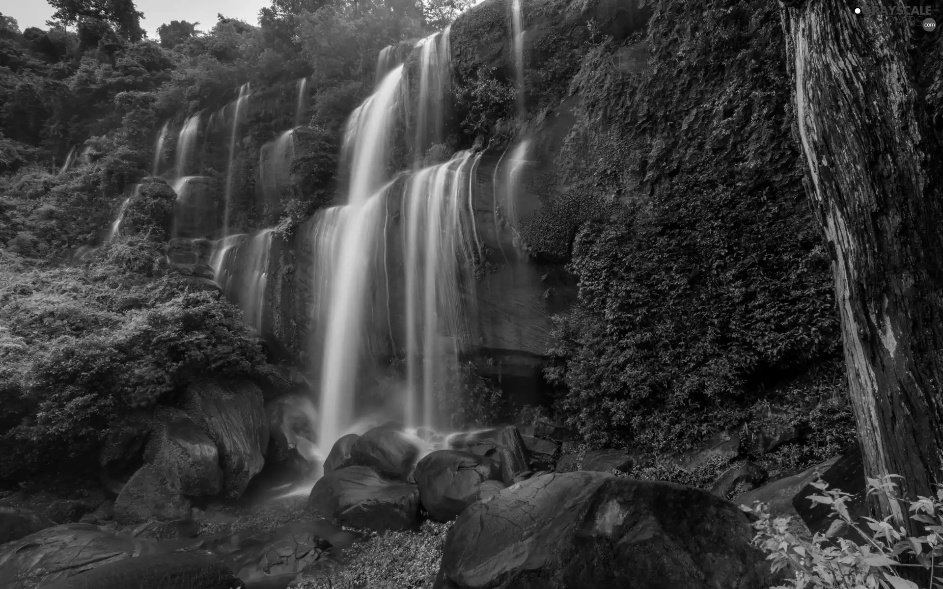 viewes, River, VEGETATION, rocks, Stones, trees, forest, waterfall