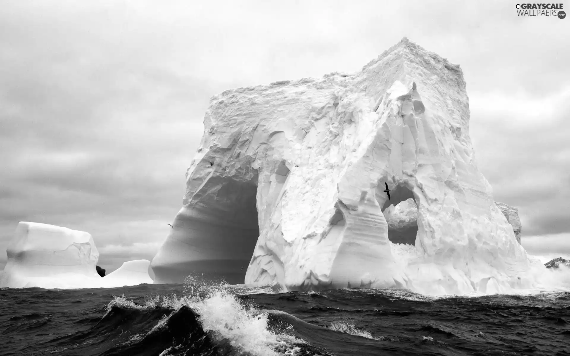 Waves, birds, Ice, sea, mountains