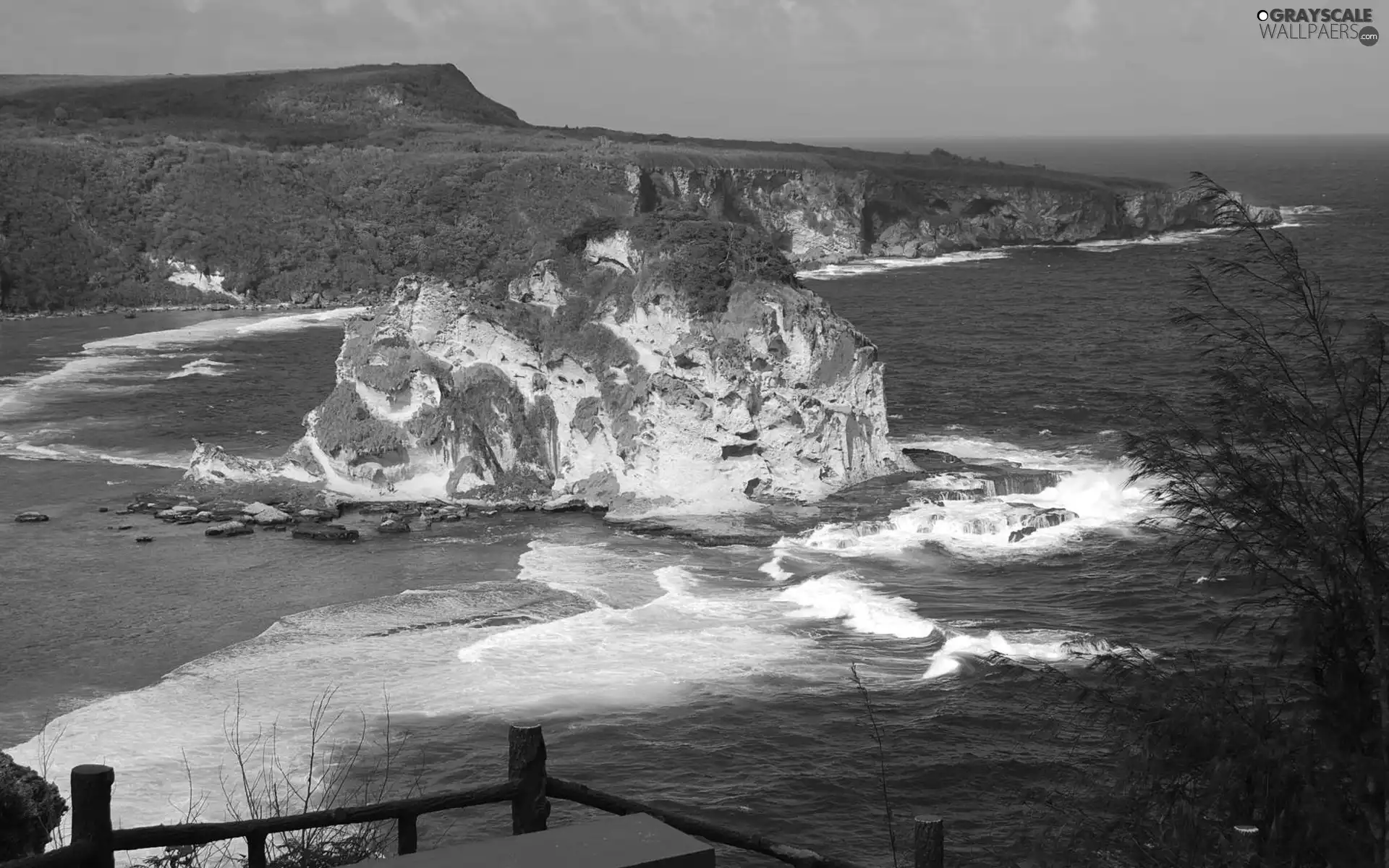 Coast, Rocks, Waves, Cliffs