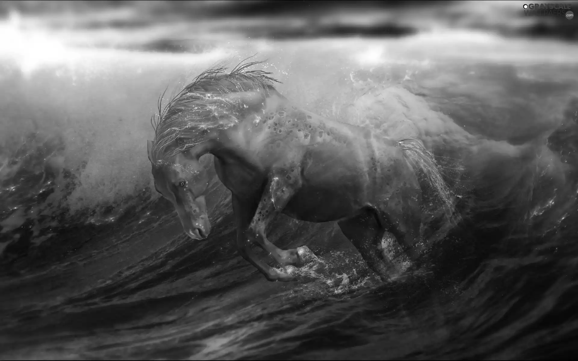 Horse, Waves