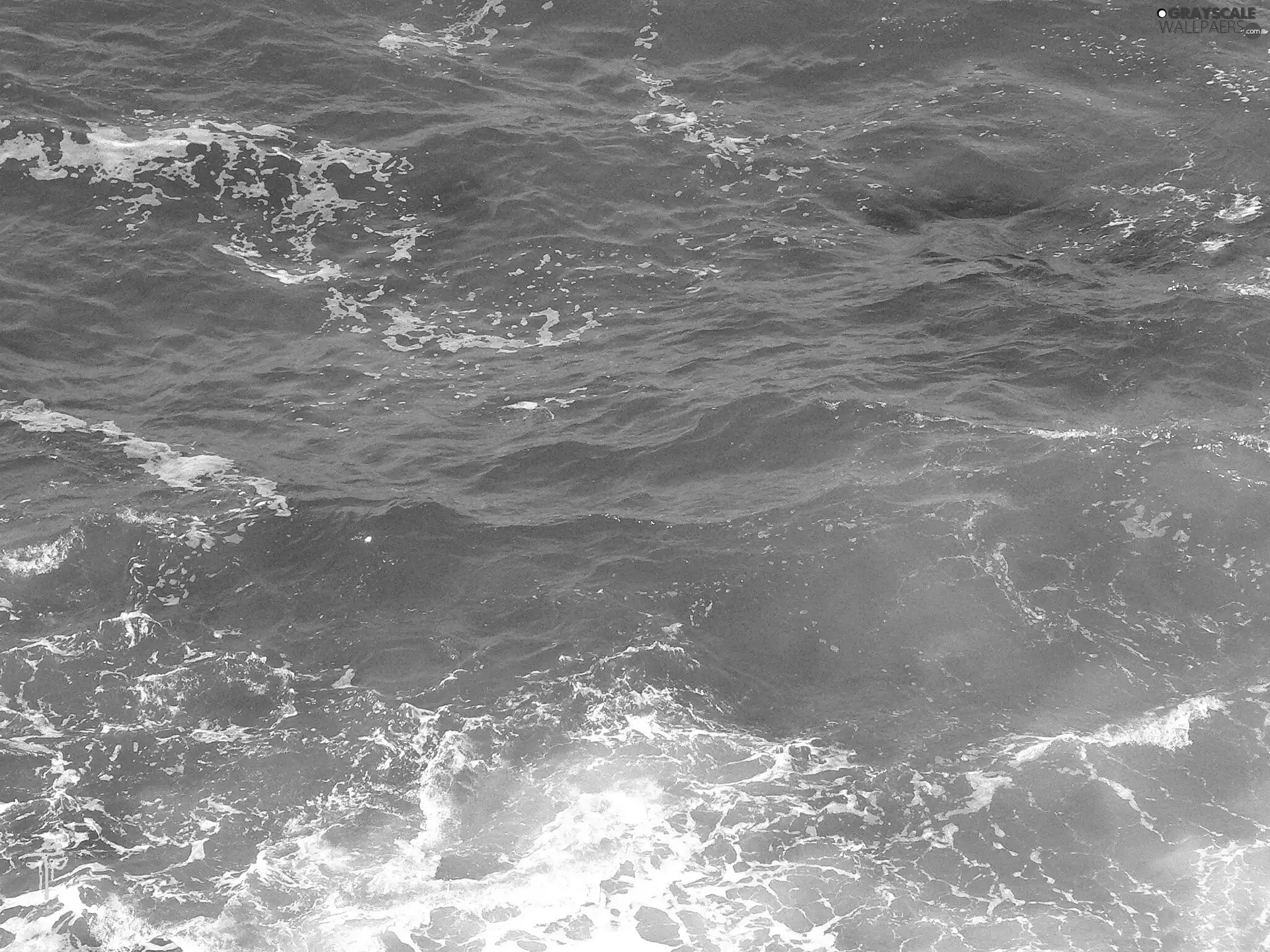 sea, Waves