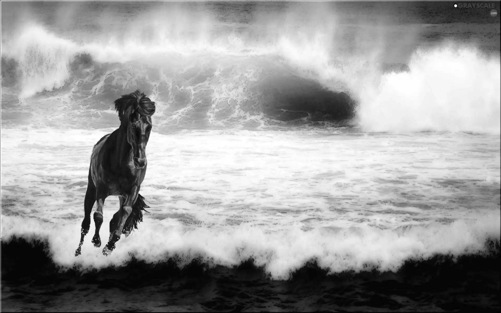 Waves, Horse, sea