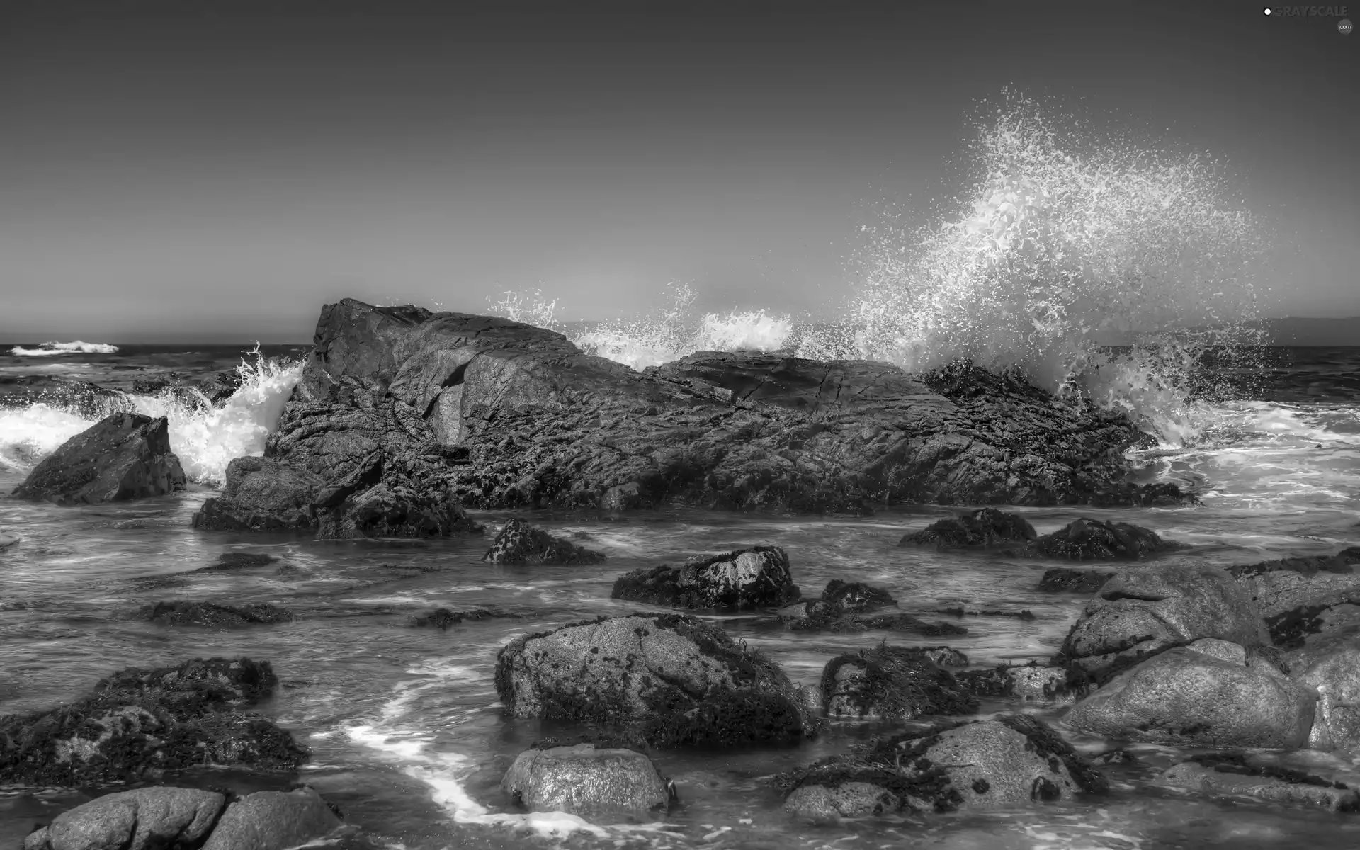 Waves, Stones, sea