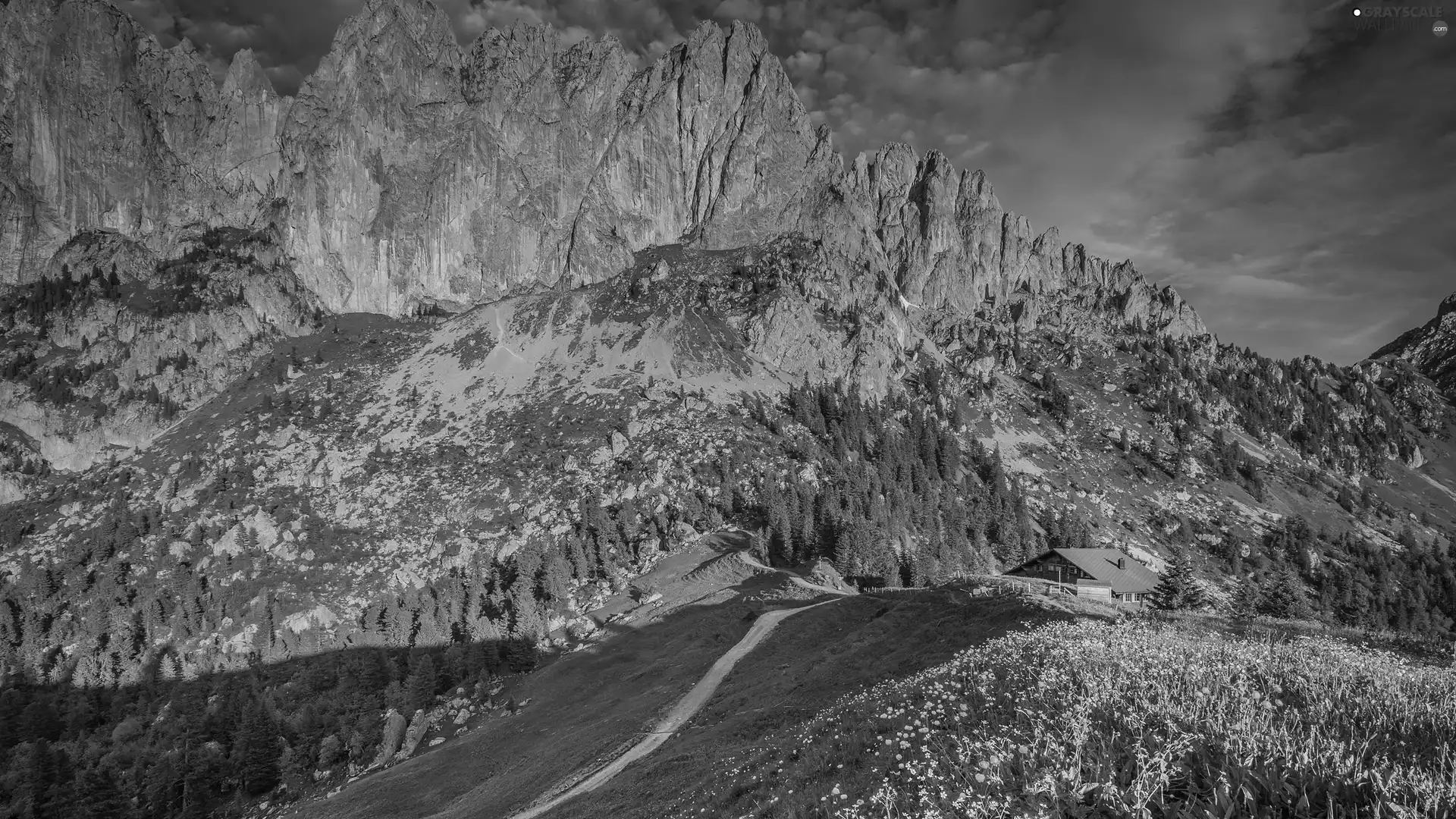 Way, house, Alps Mountains, Meadow, Switzerland