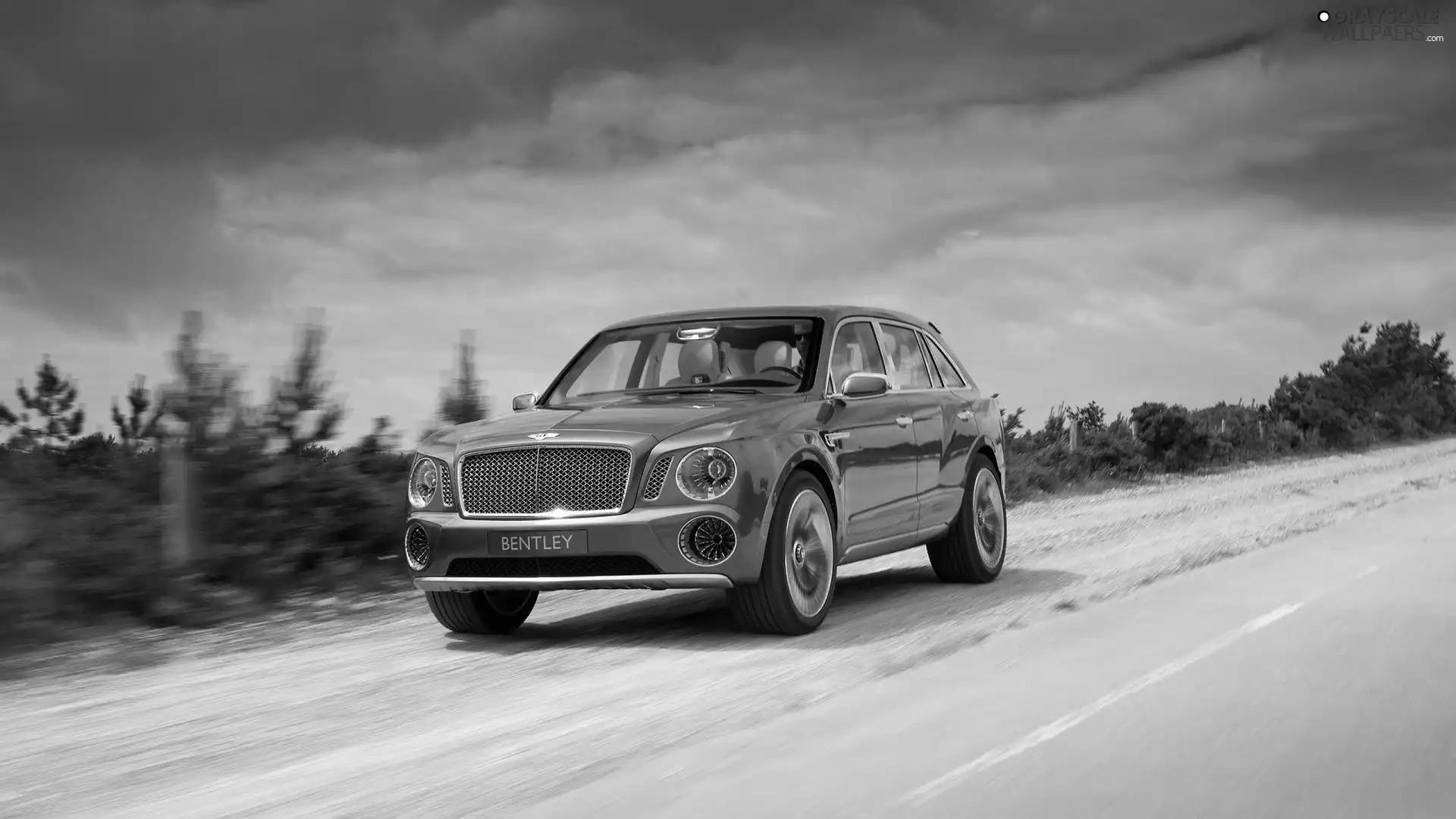 Automobile, Suv Exp 9f, Way, Bentley