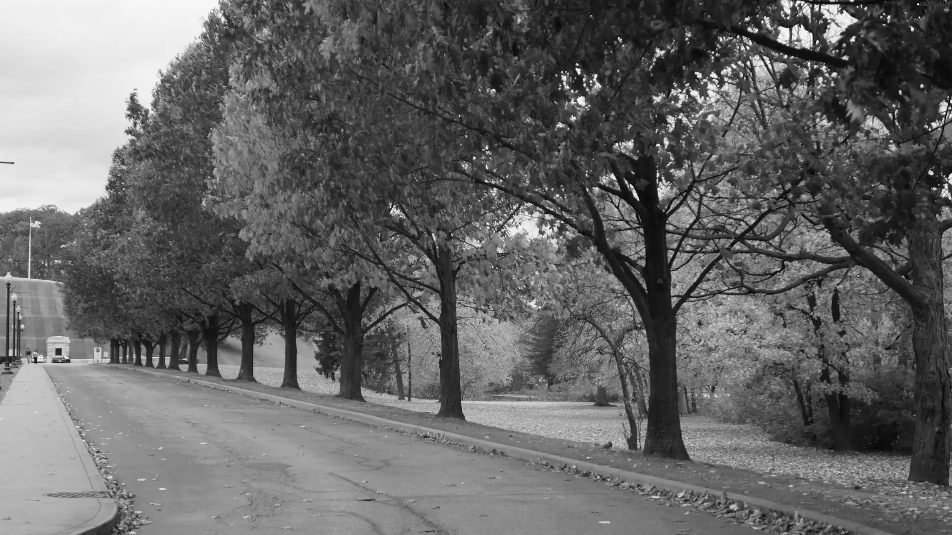 autumn, viewes, Way, trees