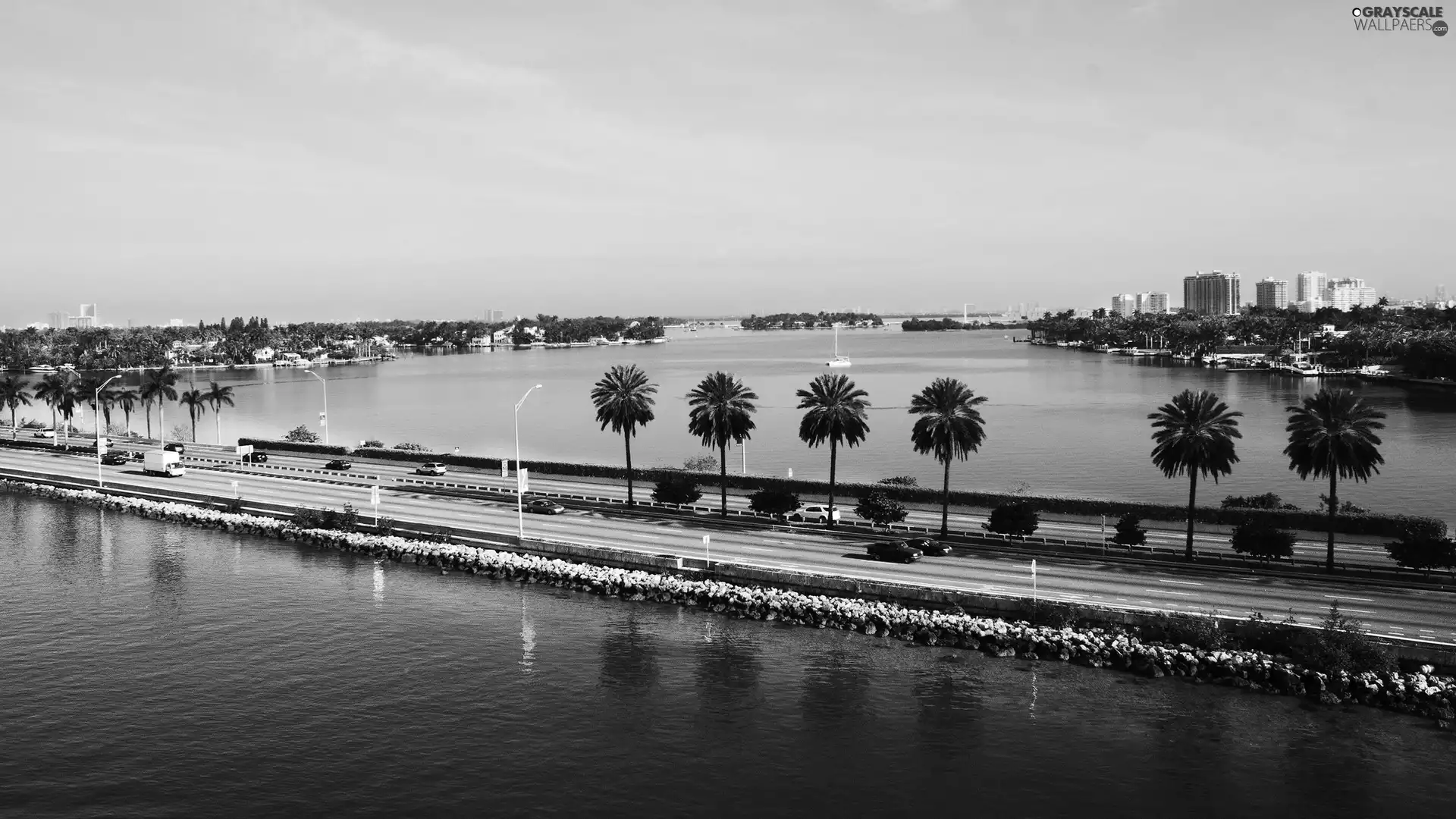 cars, Palms, Miami, Way, The United States