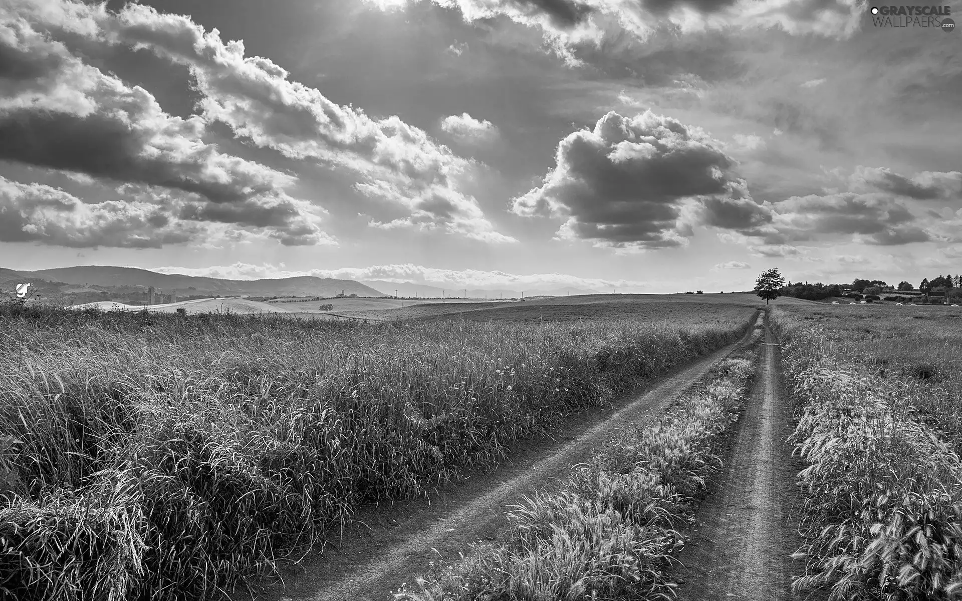 clouds, Field, Way, Field