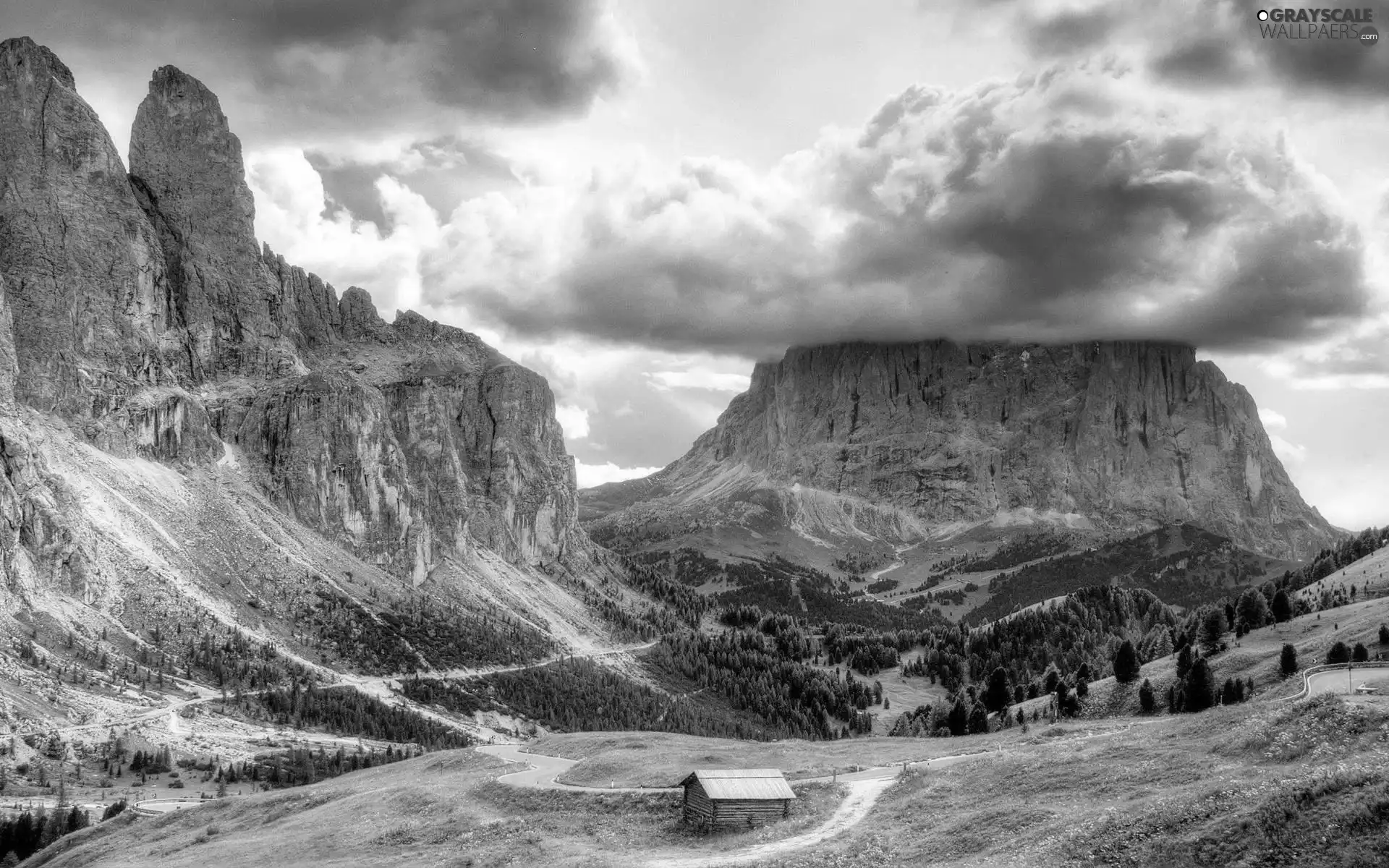 woods, Mountains, Way, cote, clouds, Rocky