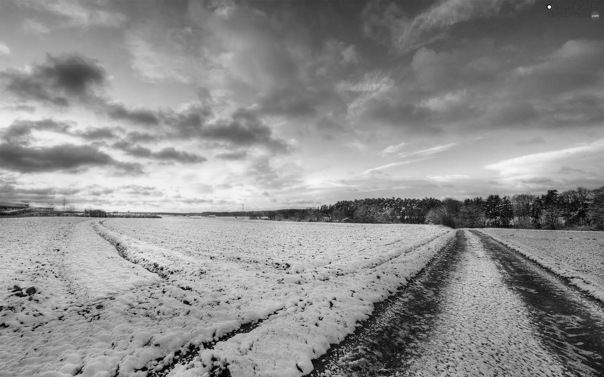Way, winter, Field