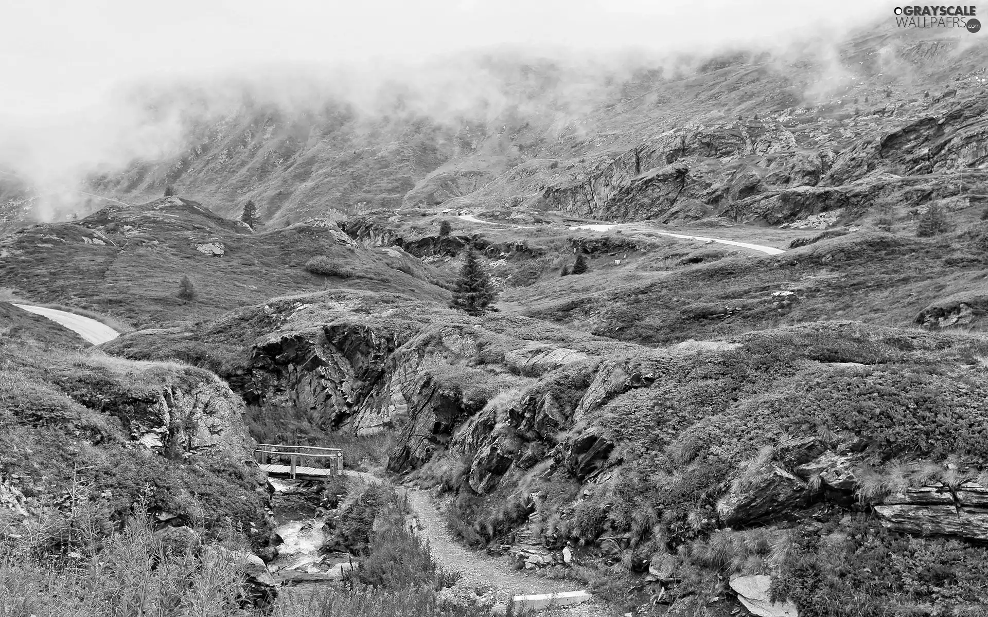 Way, Fog, Mountains, rocks, autumn