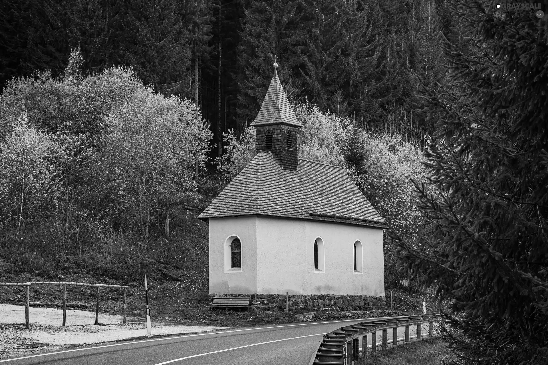 trees, Church, forest, Way, chapel, viewes, autumn