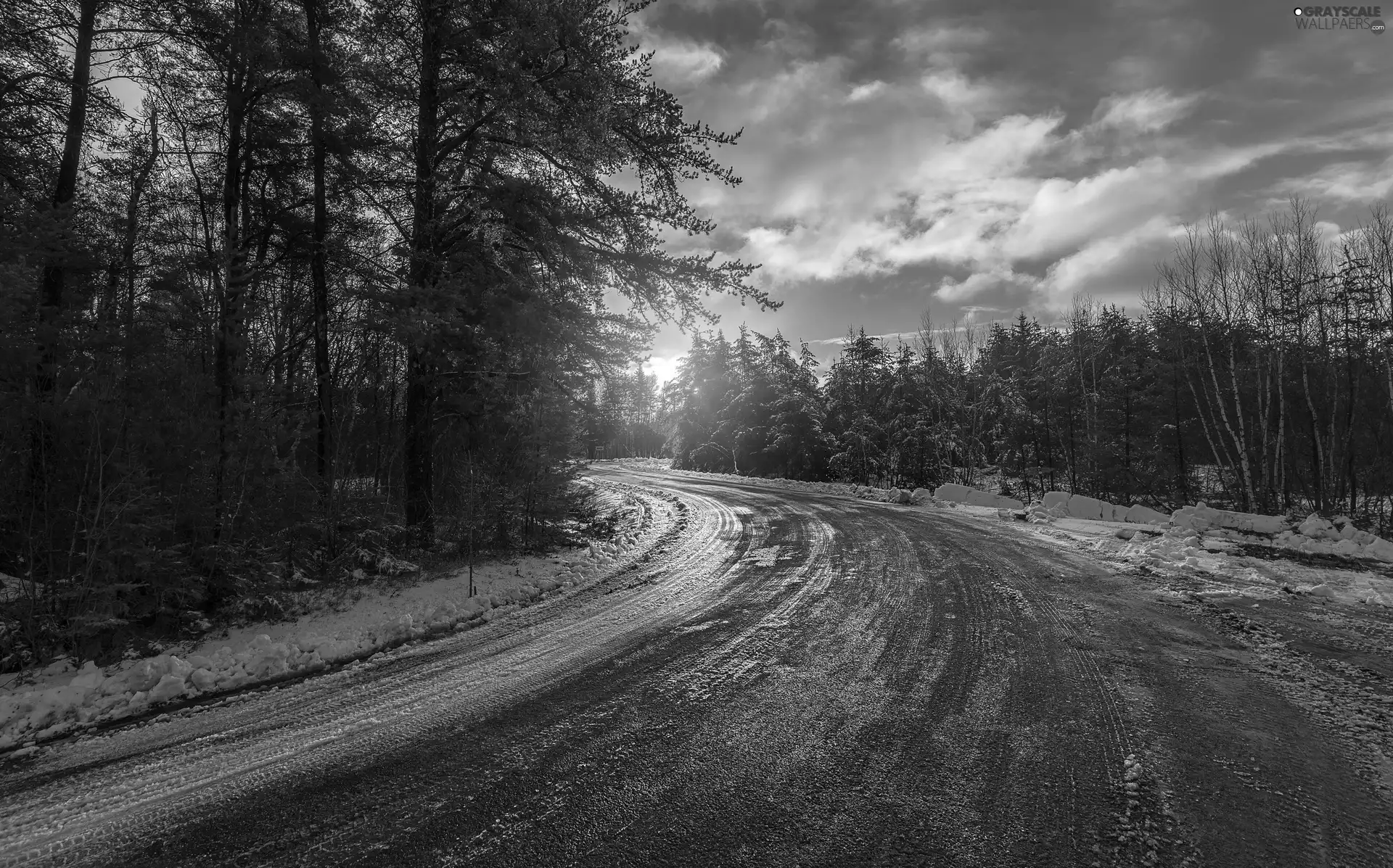 Way, forest, west, sun, winter