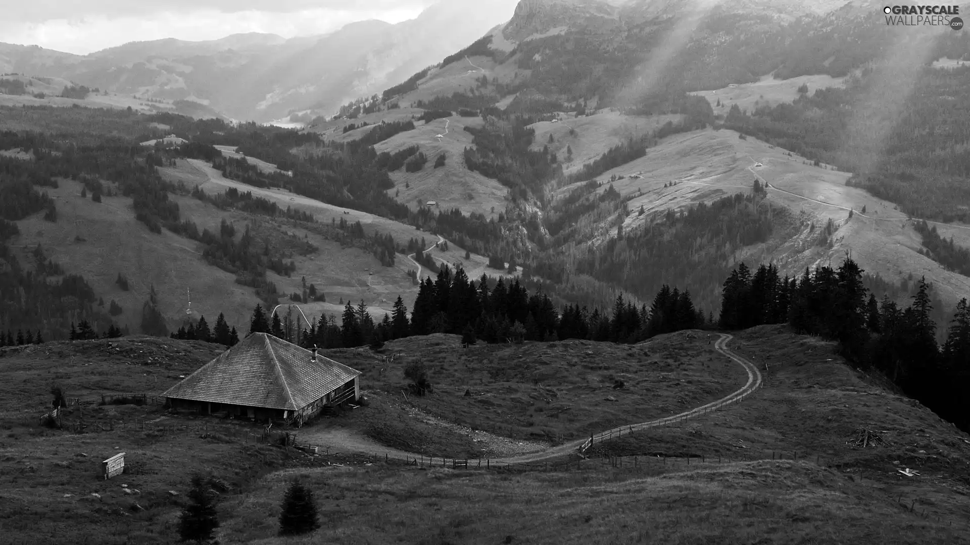 Mountains, Sheepfarm, Way, pastures