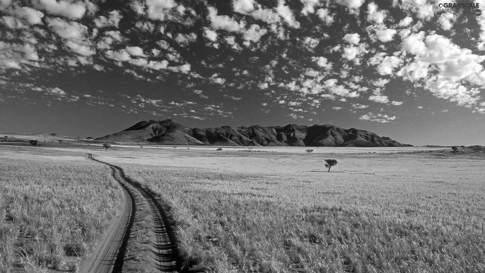 Way, Namibia, clouds, grass, Mountains