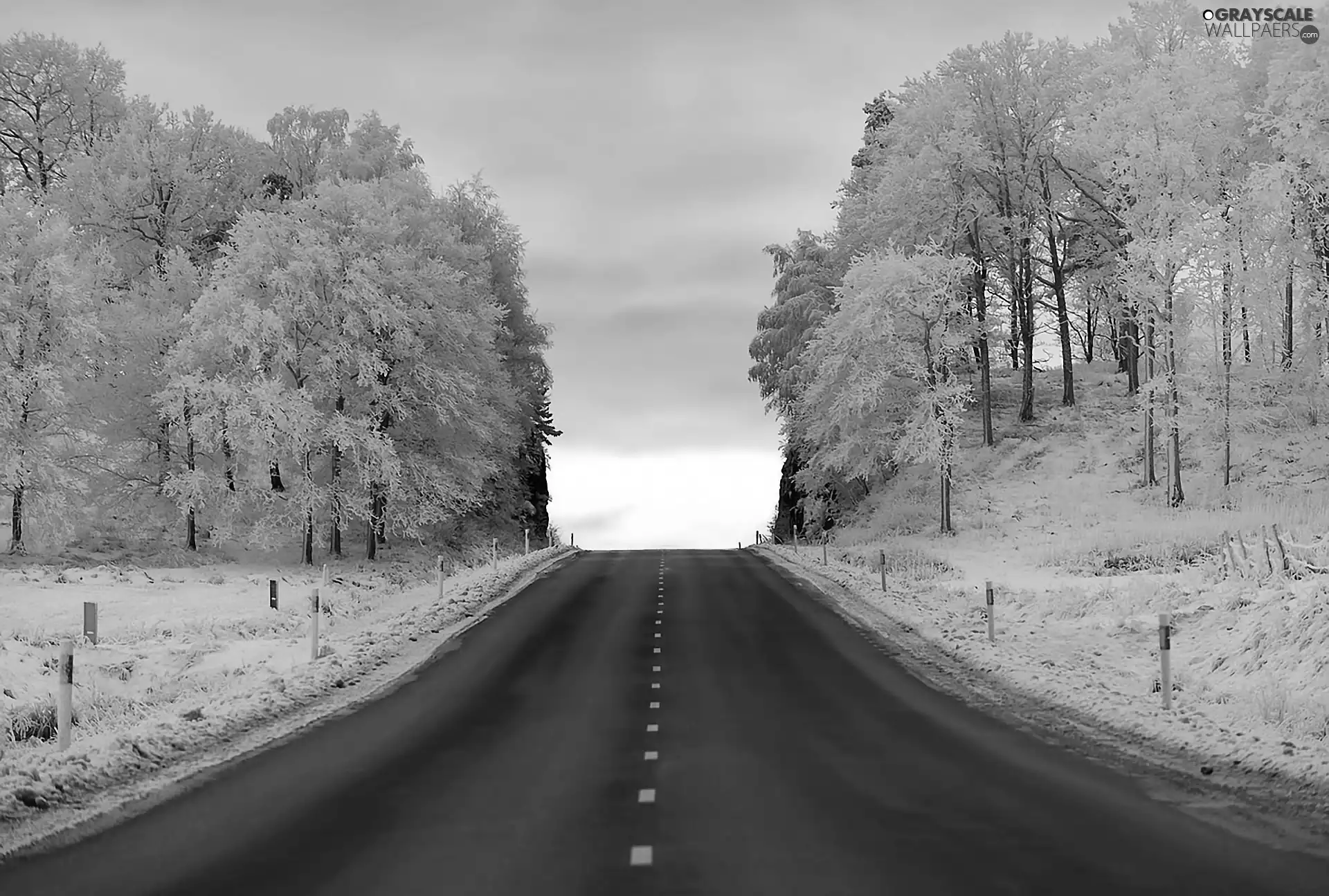 Way, Sky, viewes, snow, trees