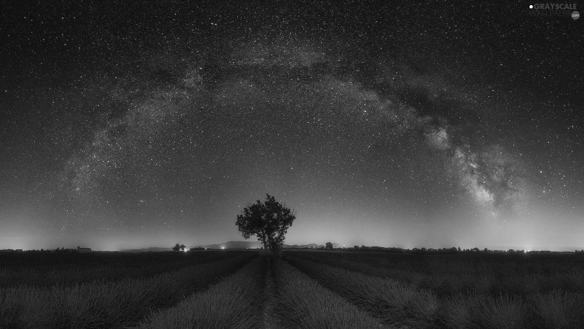 Night, lavender, star, Sky, Field, trees, Star way