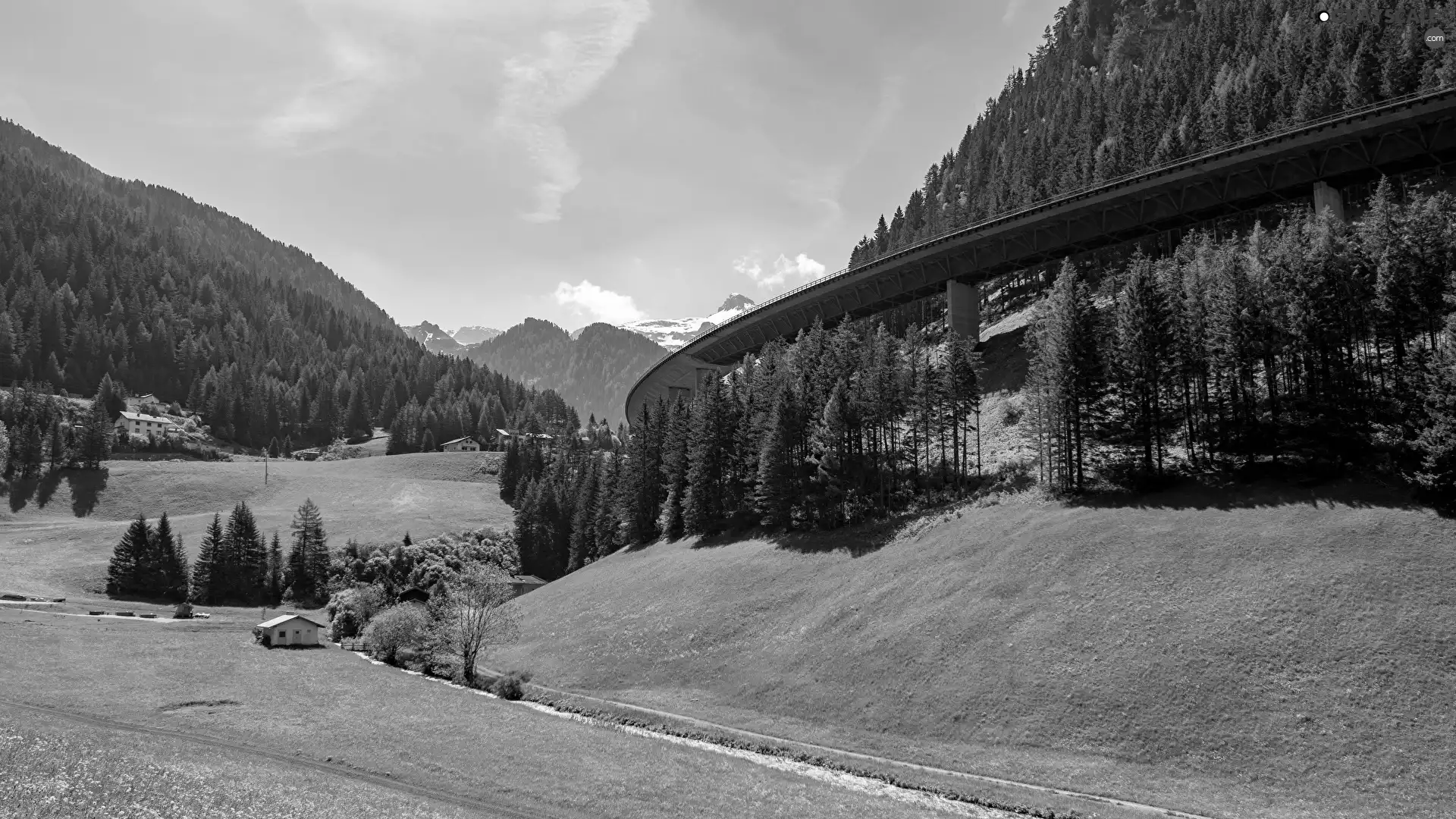trees, Mountains, medows, Way, viewes, woods
