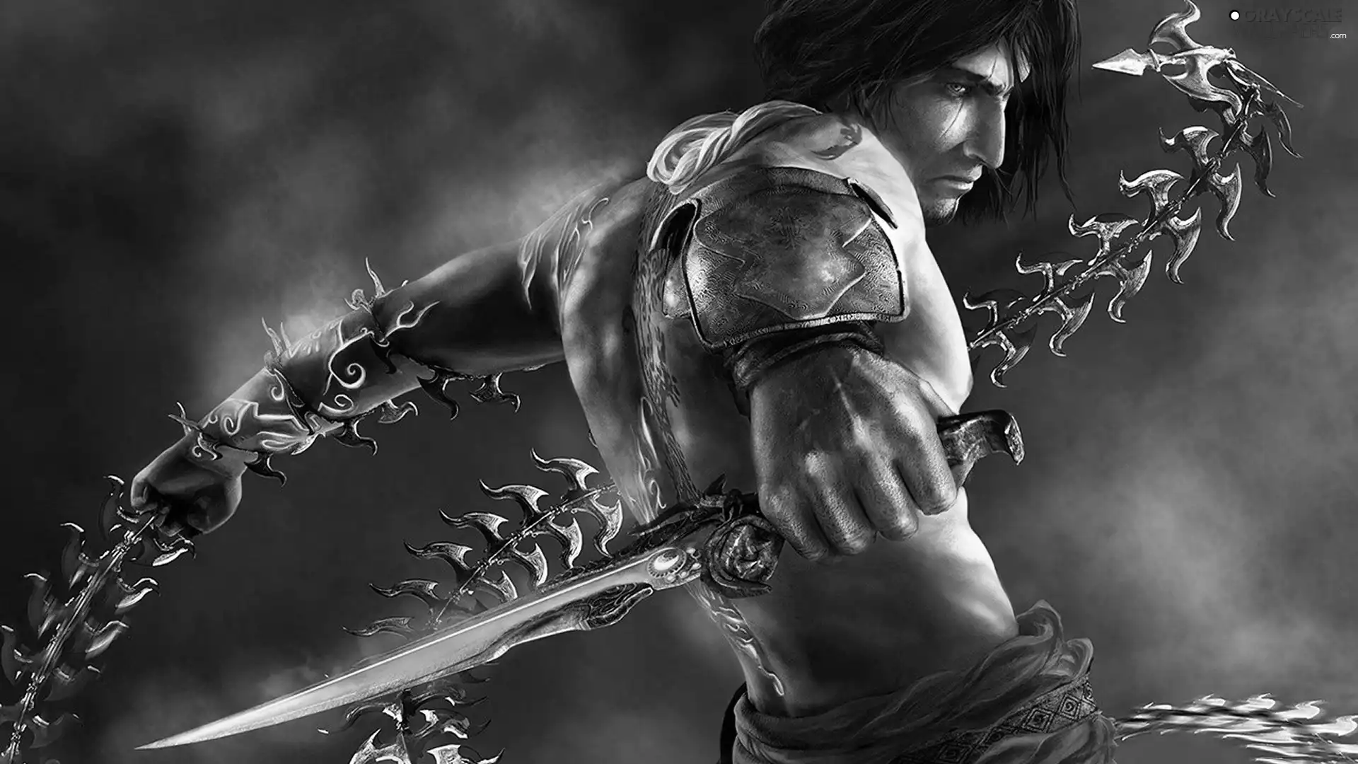 fighter, Weapons