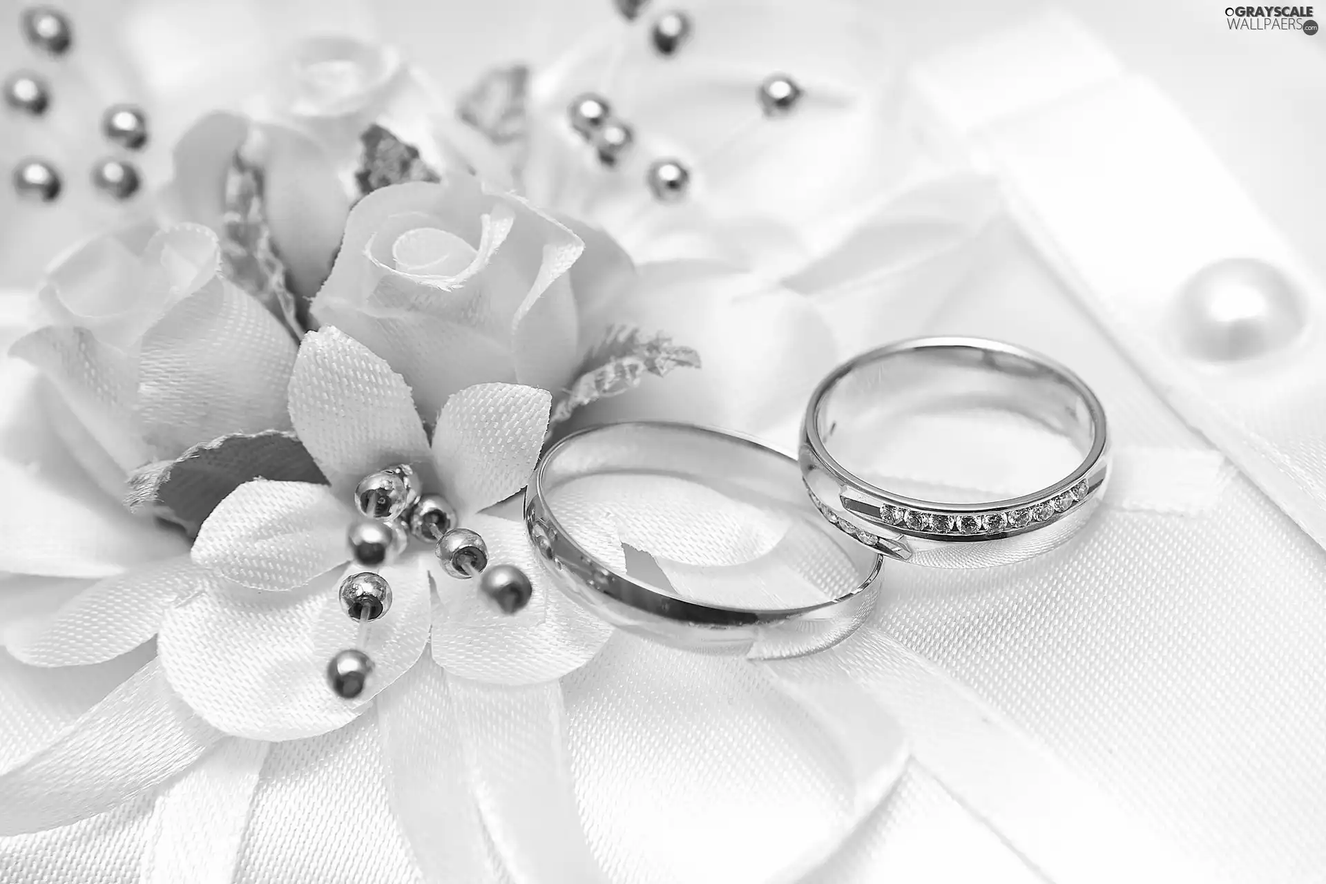 White, rings, wedding, Flowers