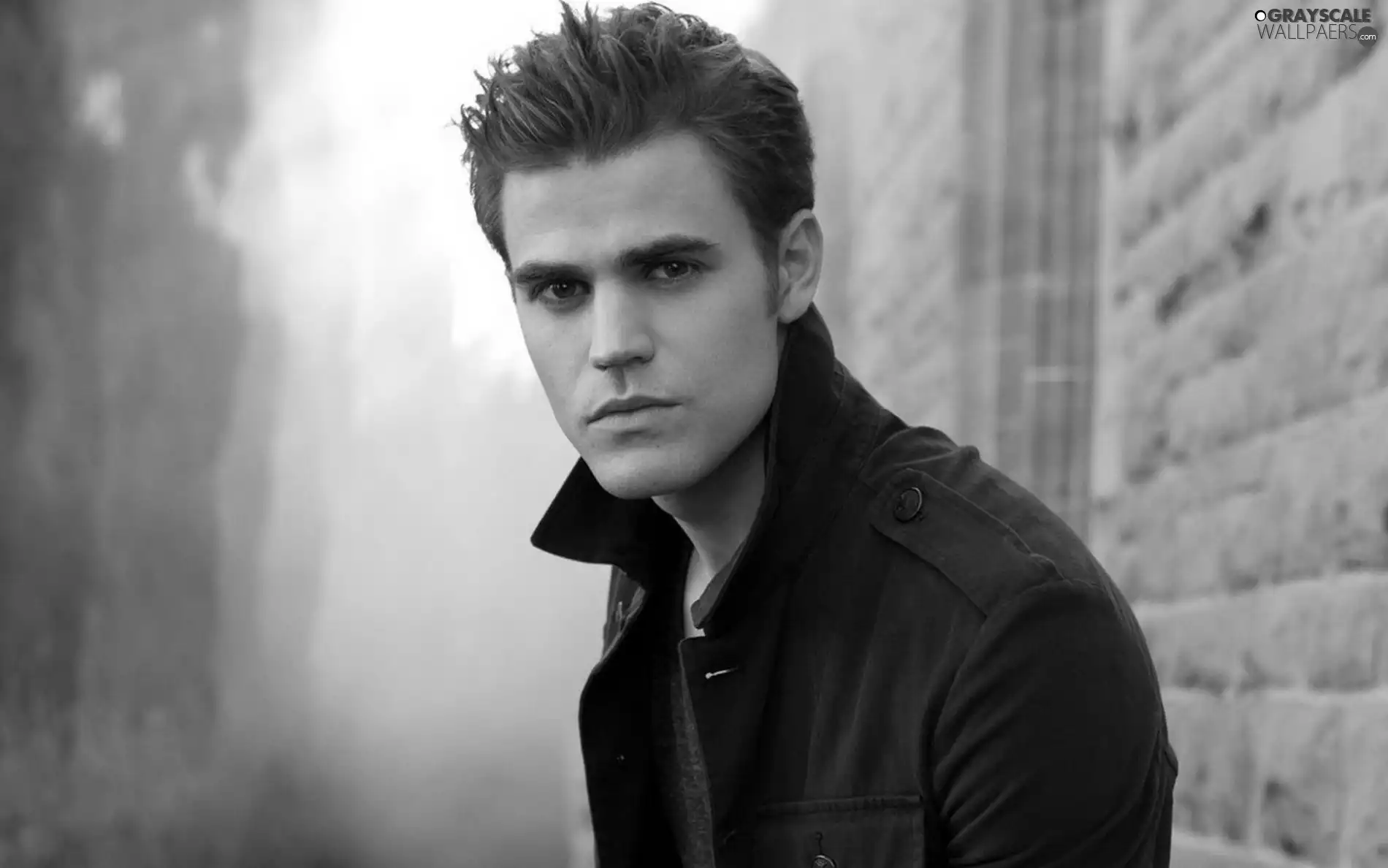 actor, Paul Wesley