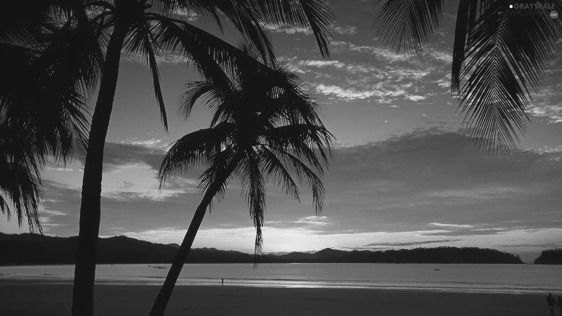 Mountains, Beaches, sun, People, Palms, west, sea