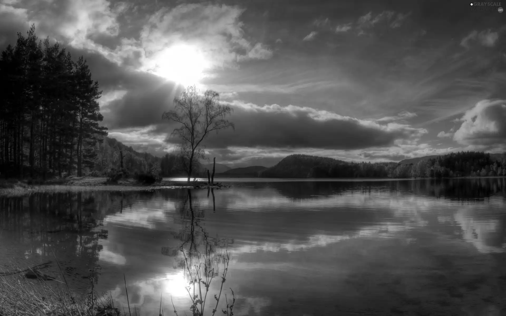 west, sun, woods, clouds, River