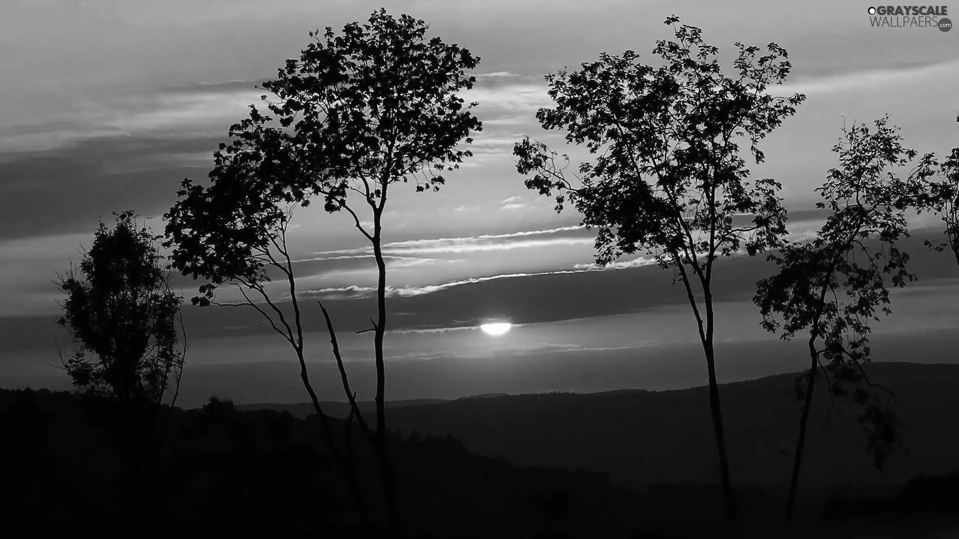 Mountains, trees, west, sun, clouds, viewes