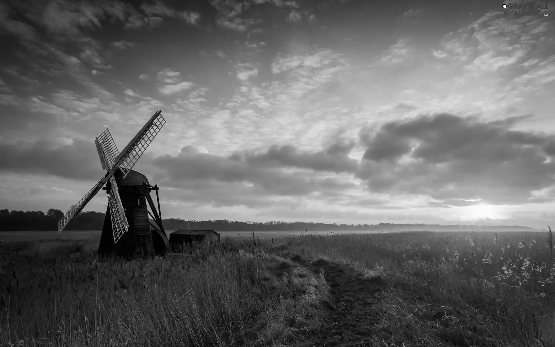 woods, Windmill, west, sun, clouds, medows