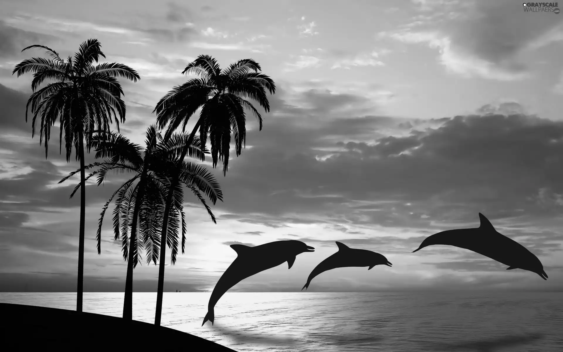 west, sun, sea, Palms, dolphins