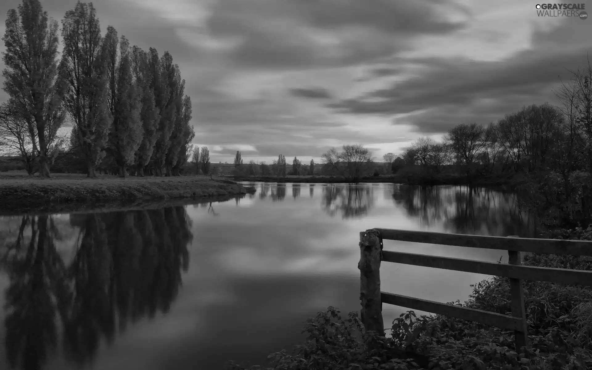 viewes, lake, west, sun, fence, trees