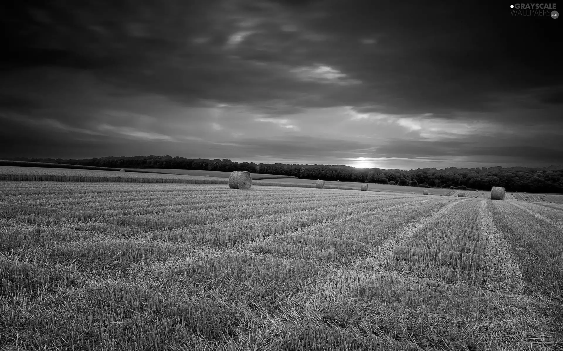 west, sun, Bele, hay, field
